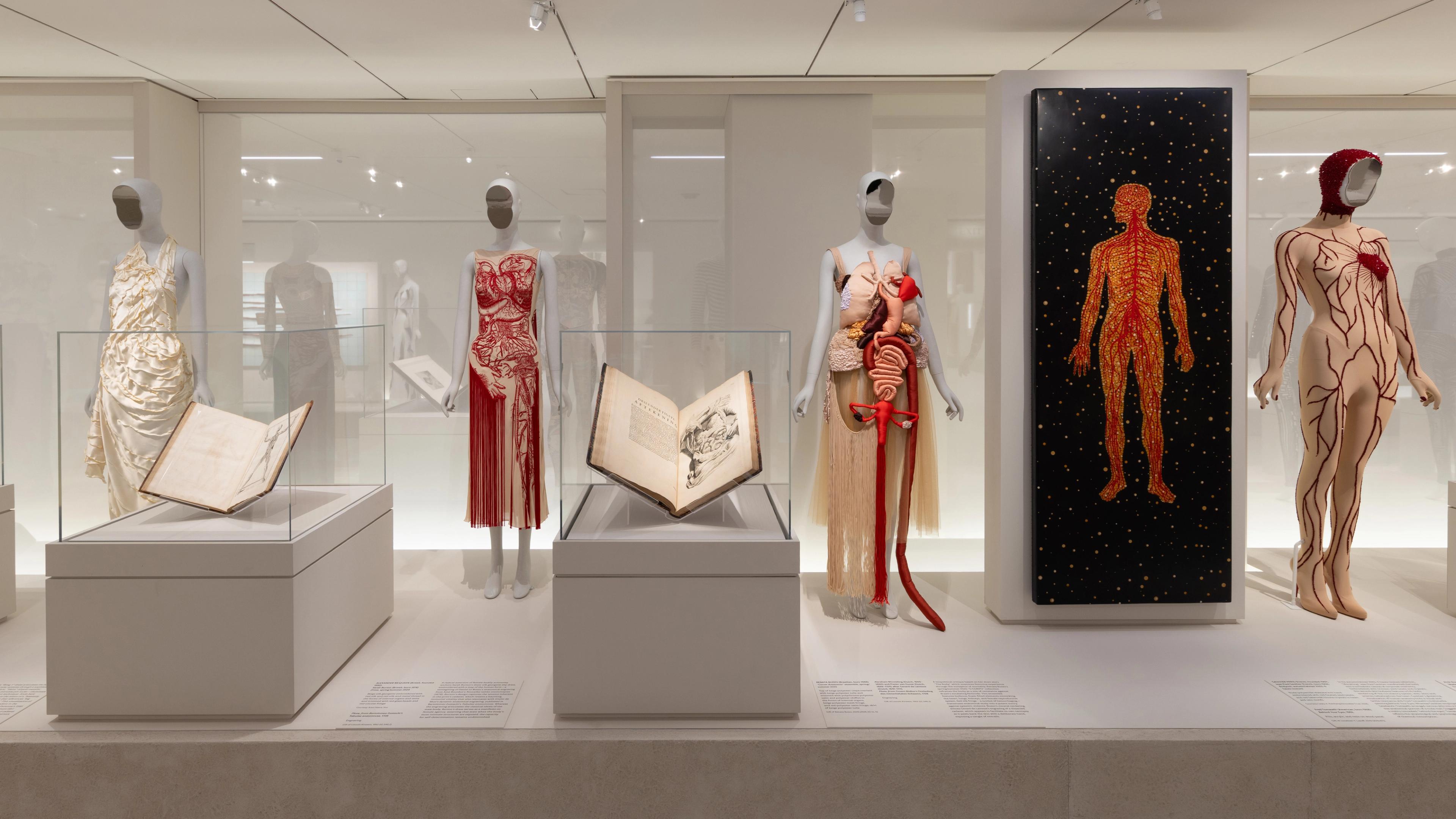 Exhibit of mannequins in anatomical-themed dresses behind glass, alongside medical illustrations and a human body diagram