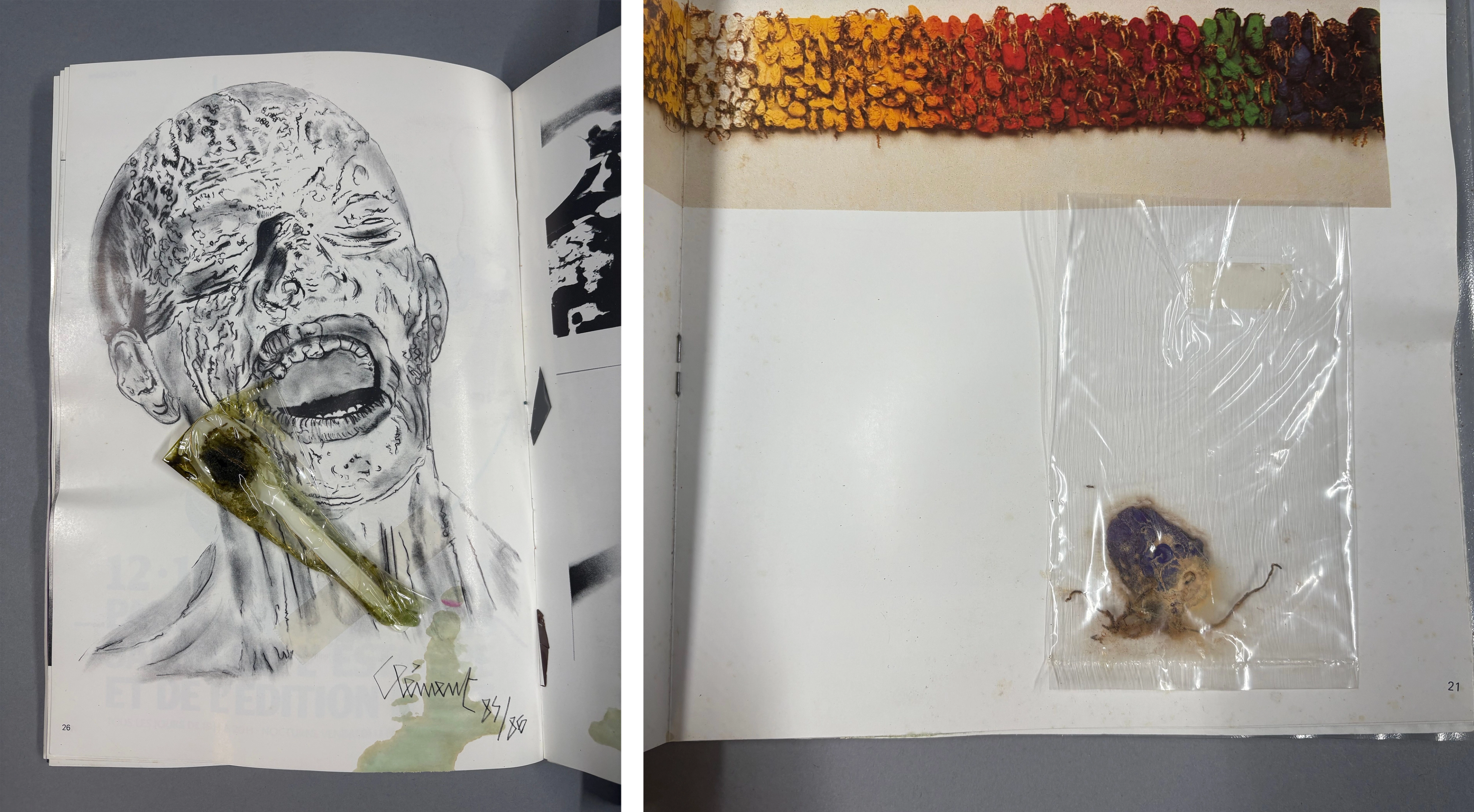 Left: Illustration of a face with a rotting spoon adhered to it. Right: Rotting material in plastic bag.
