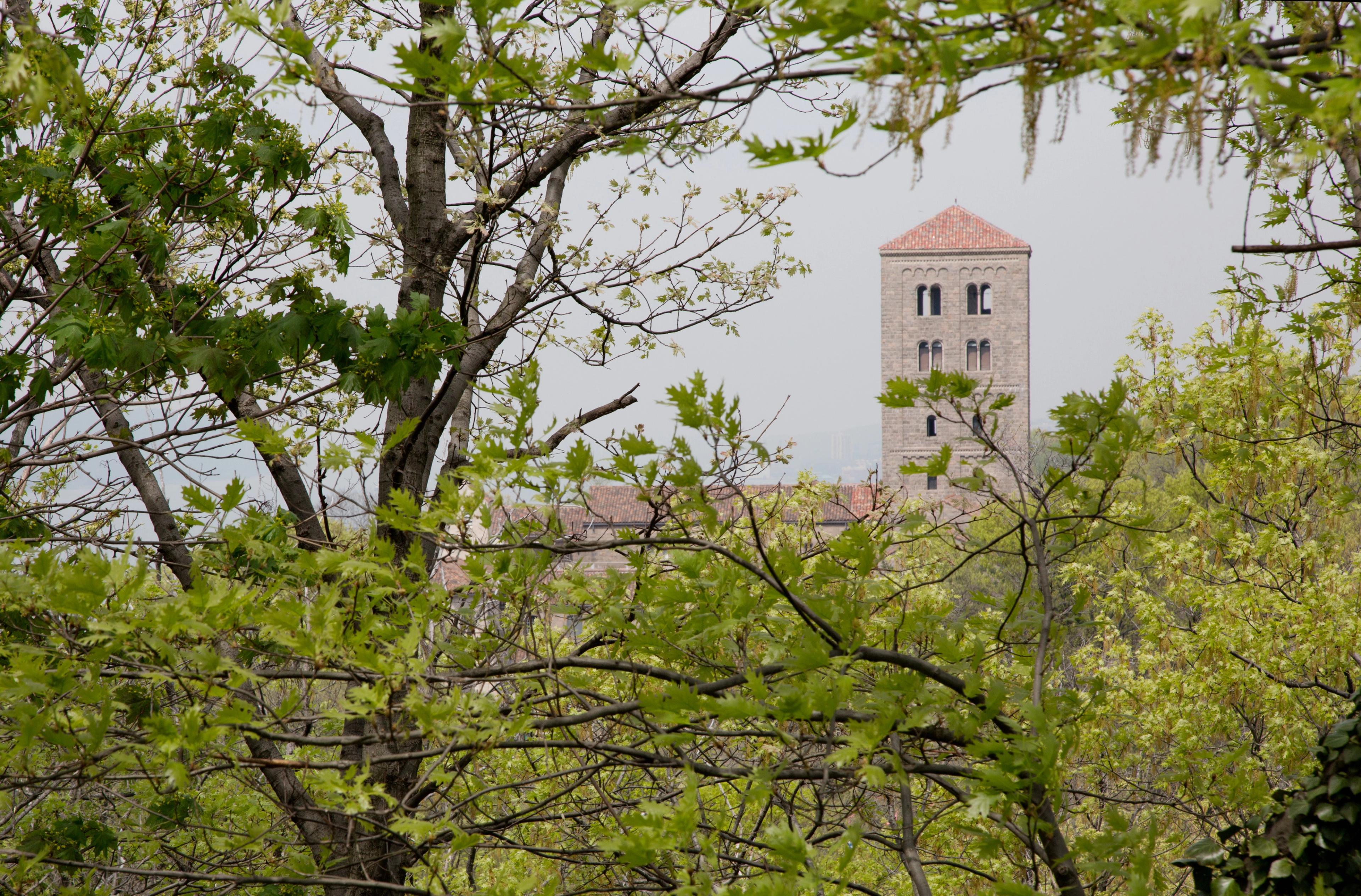 A distant tower, resembling part of a castle, is framed by trees and greenery.