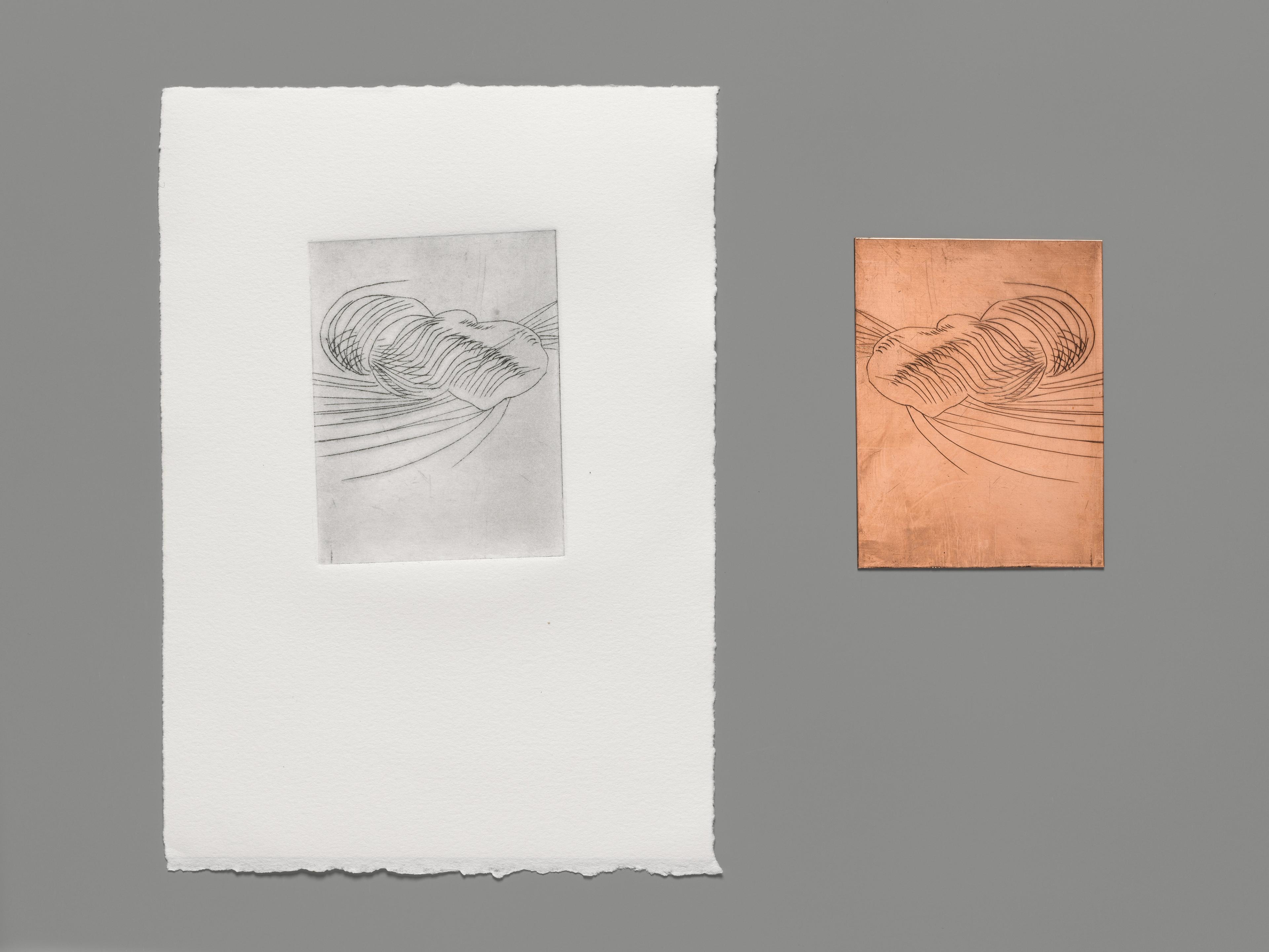 Image of a completed engraving (left) next to its plate (right).