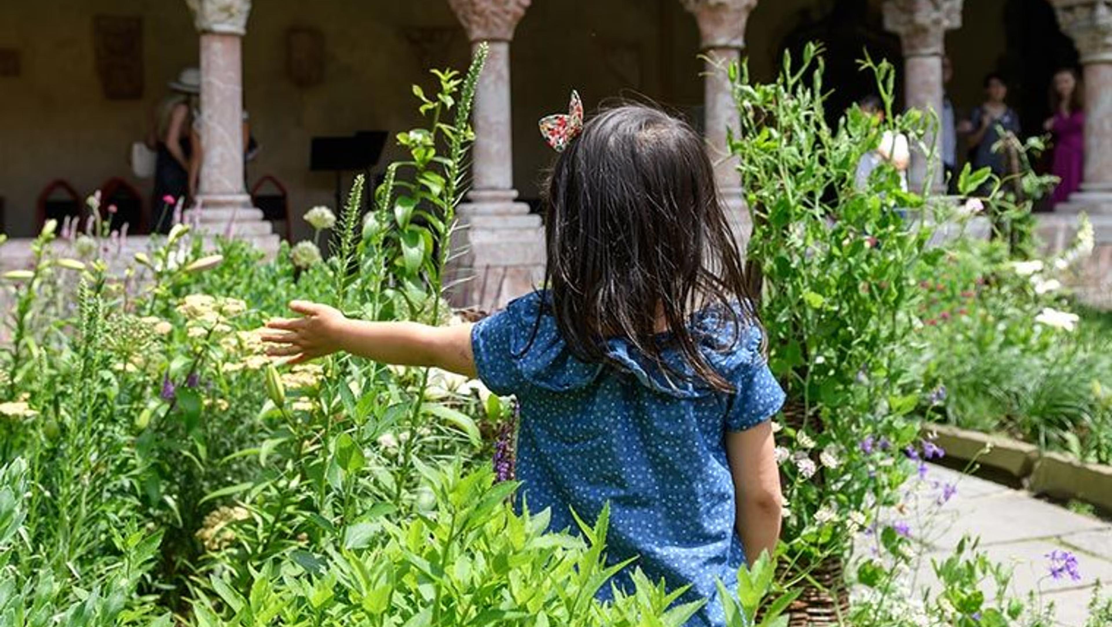 A young girl with her back turned to the camera stands in front of a garden bed in a medieval cloister.