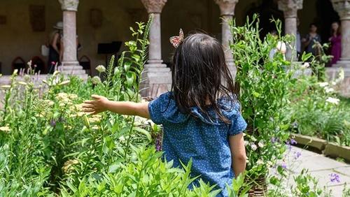 Image for Party Thyme! Discover Medieval Plants Near Your Home