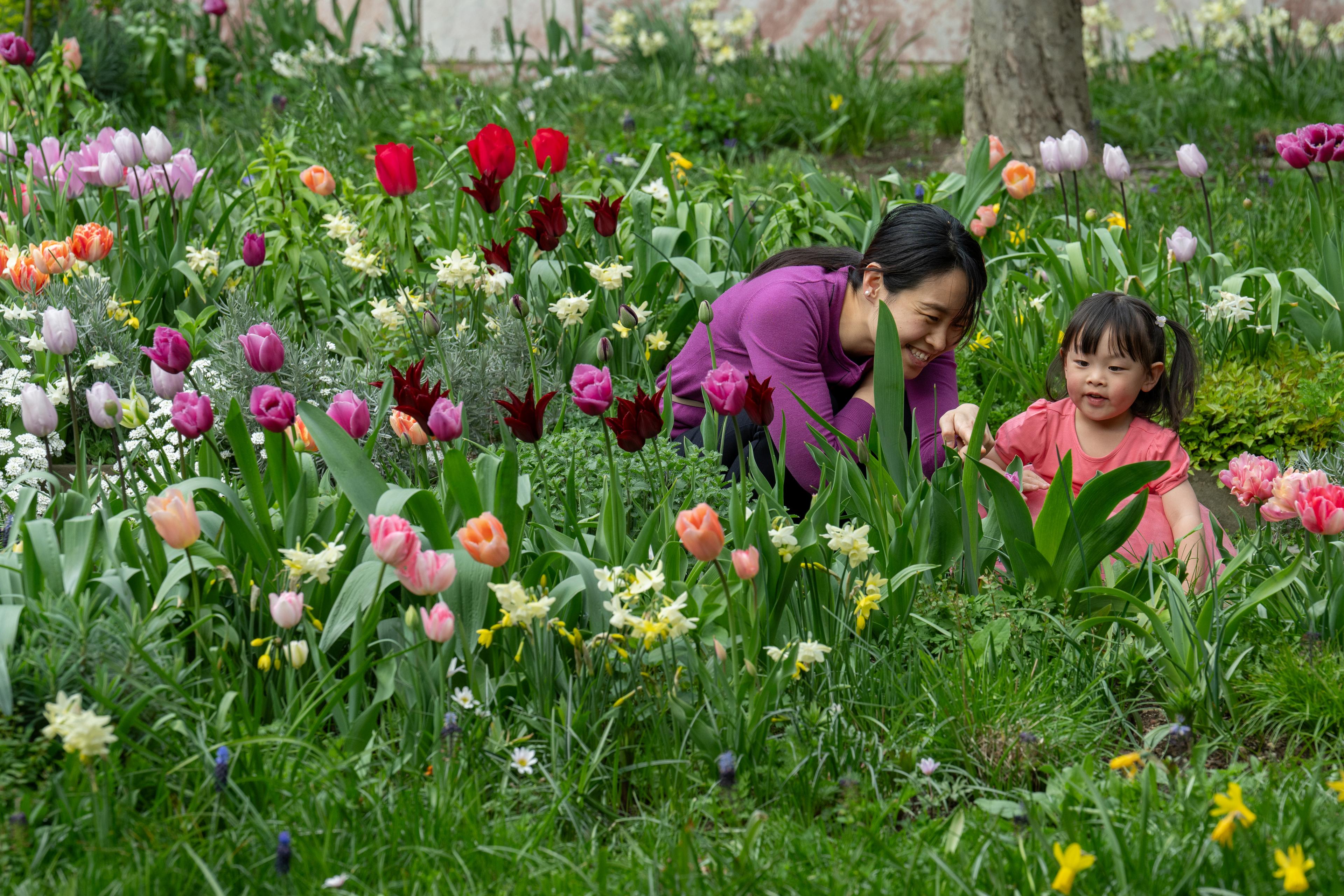 A mother and daughter enjoy flower blooms together. 