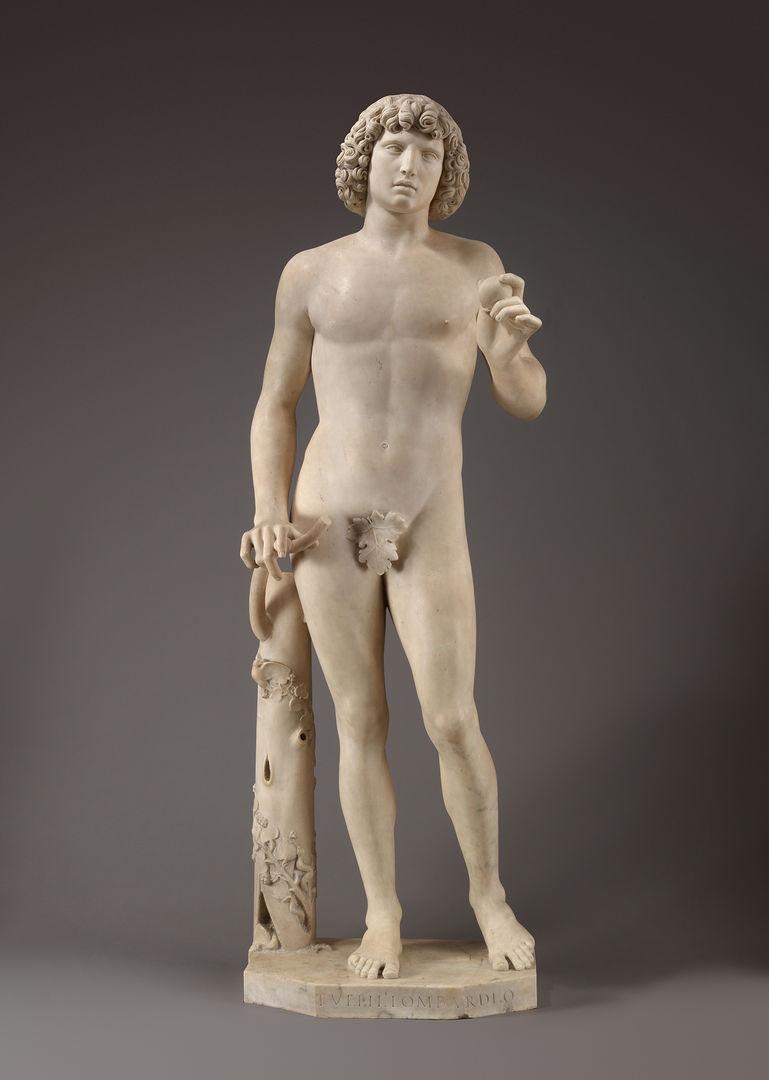Marble statue of Adam by Tullio Lombardo. His figure casts a shadow against the gray background.