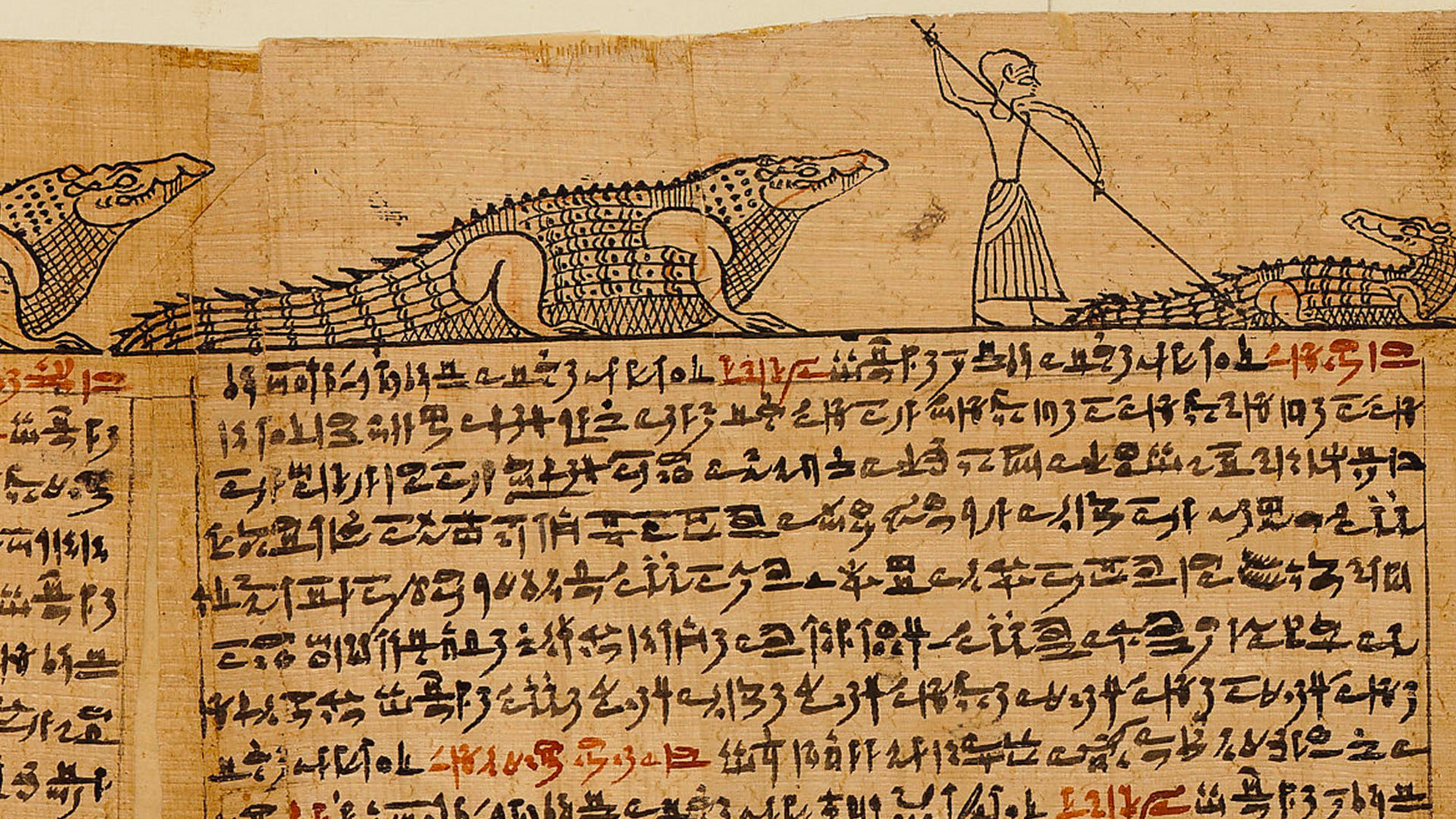 An aged piece of brown paper with black and red script, with a border illustrating three crocodiles and one person on the top.