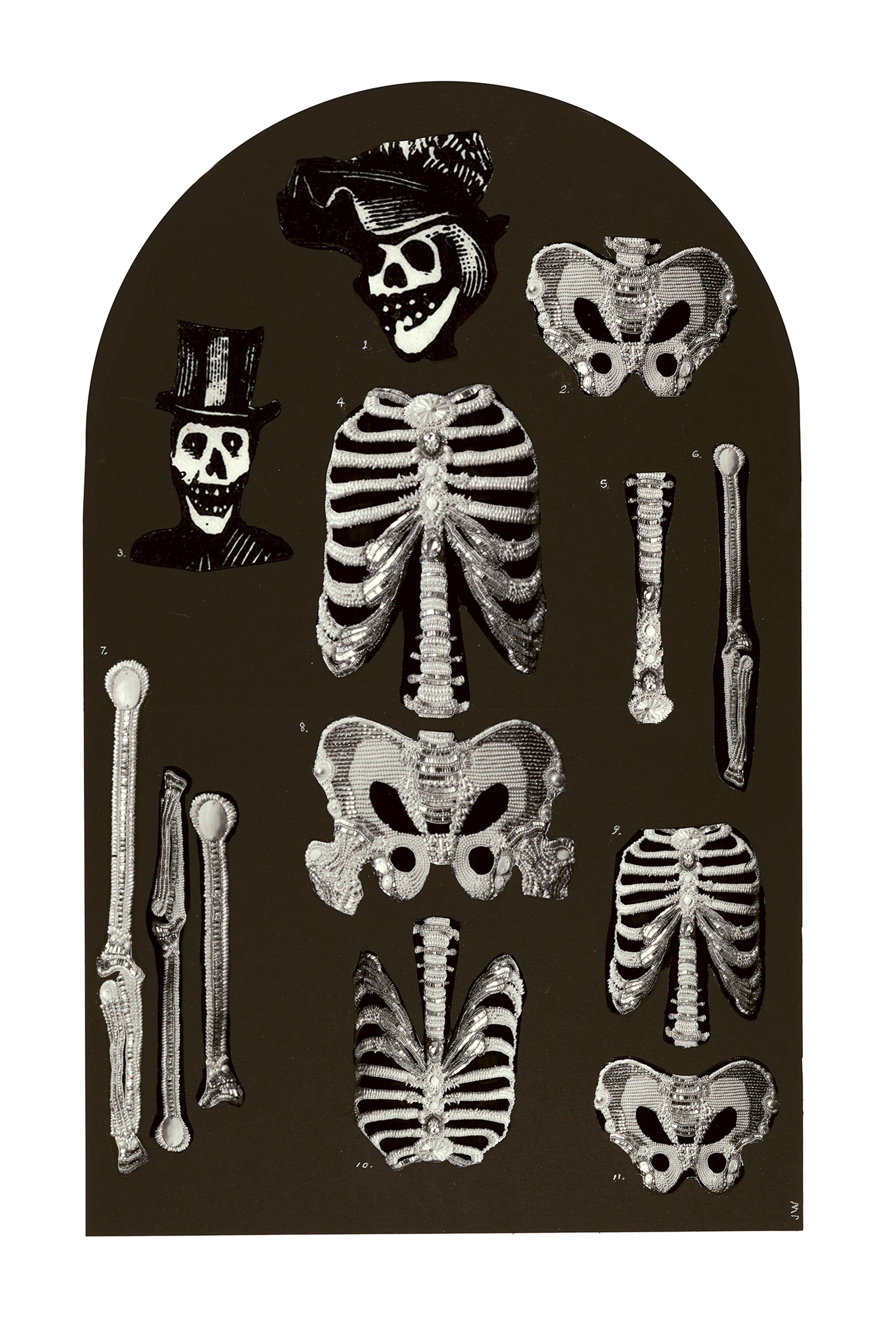 Vintage anatomical illustration of skeleton parts on a dark background. Two smiling skulls wear hats, surrounded by rib cages, pelvises, and bones.