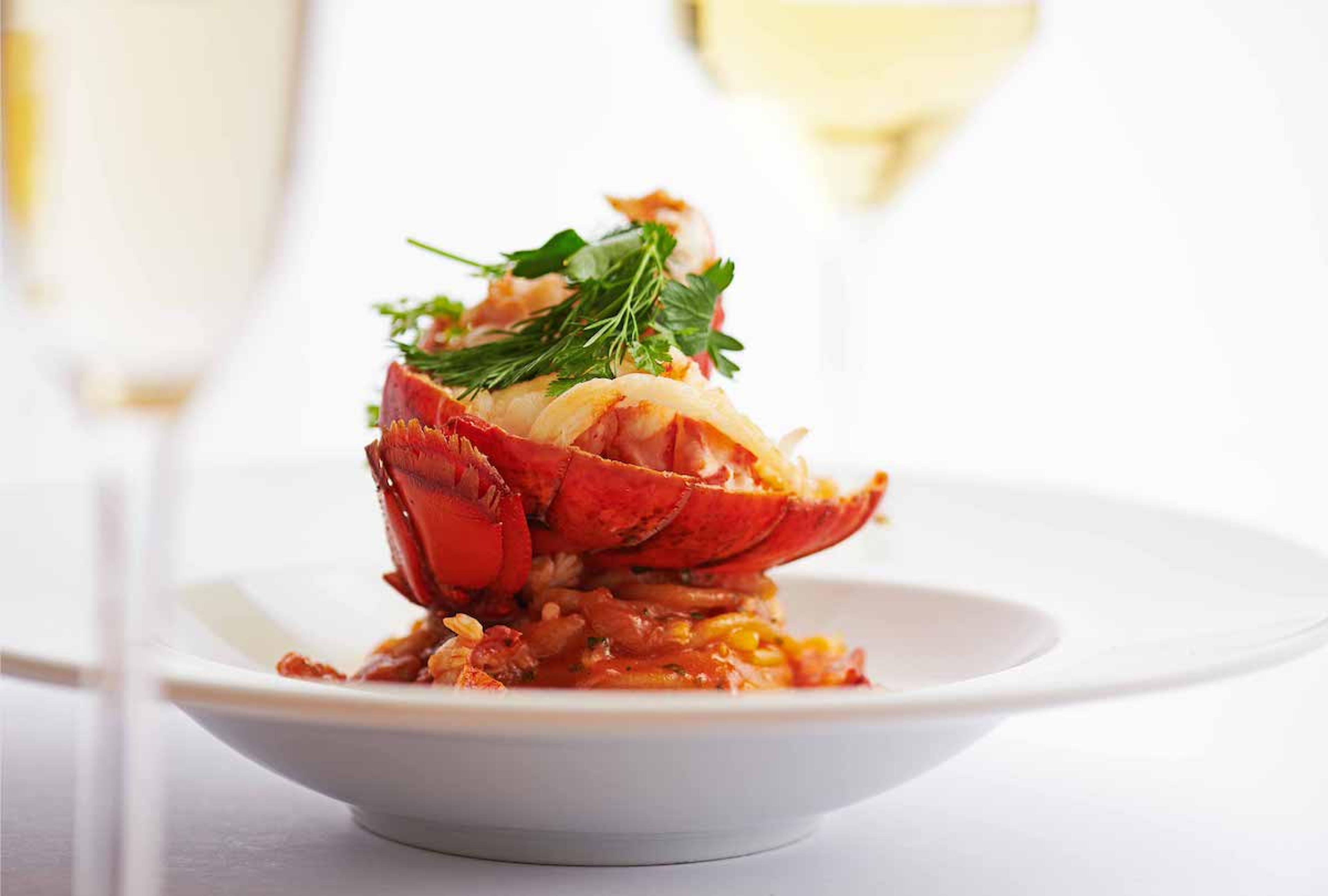 A white ceramic plate of pasta topped with lobster presented in its shell. The plate is photographed between two glasses of white wine.