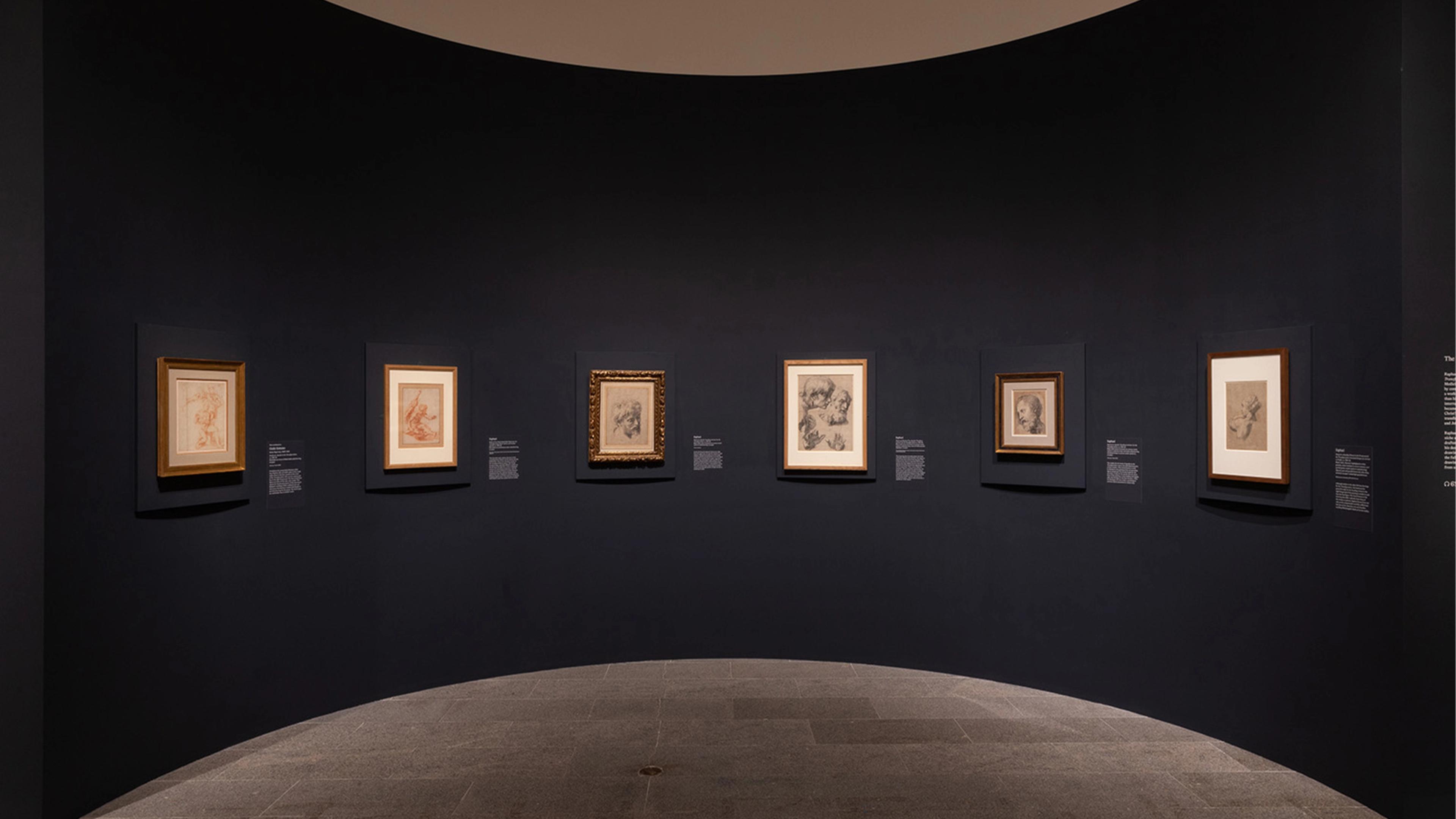A curved gallery wall displays six framed sketches, evenly spaced, on a dark background.