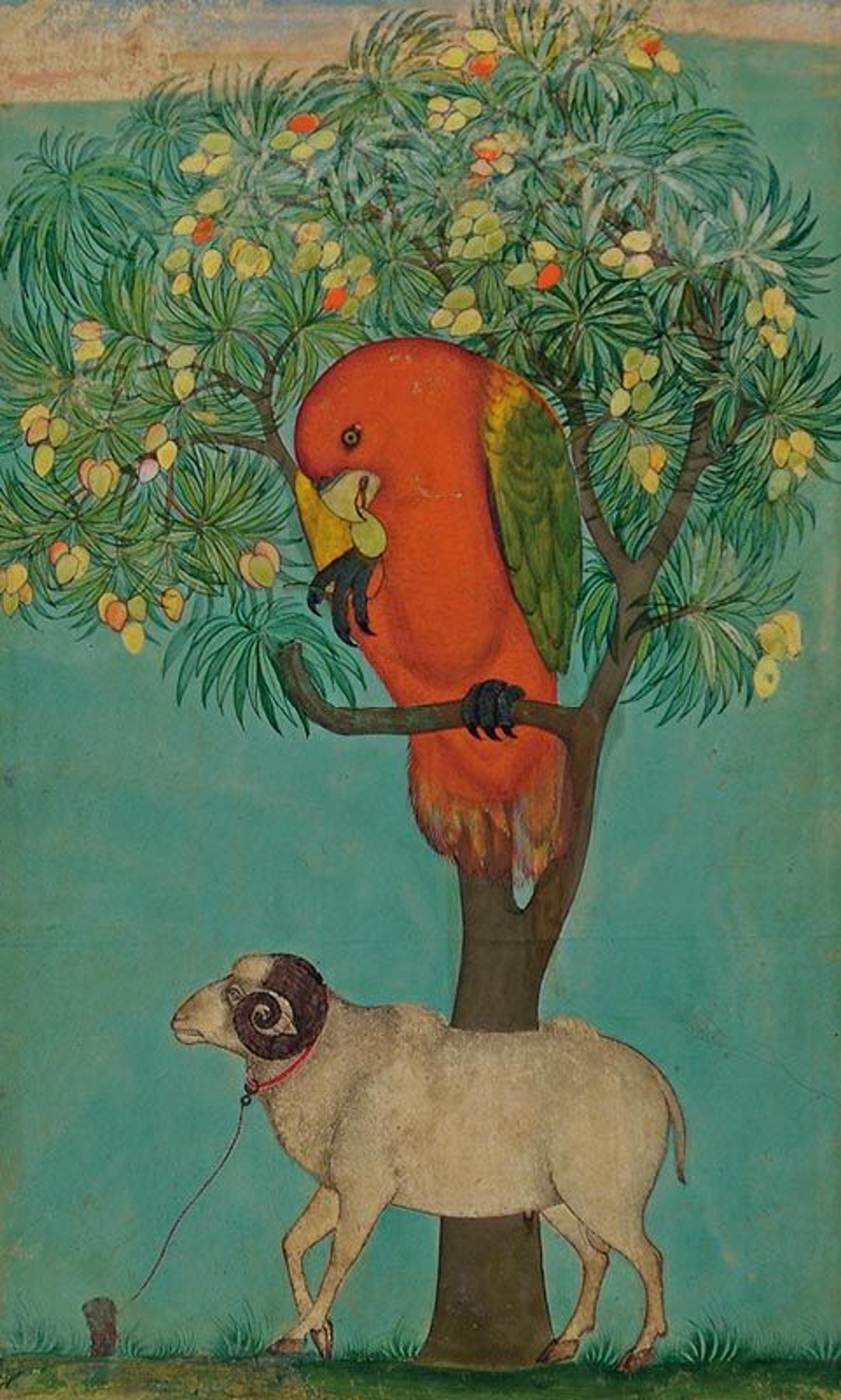 A Parrot Perched on a Mango Tree; a Ram Tethered Below