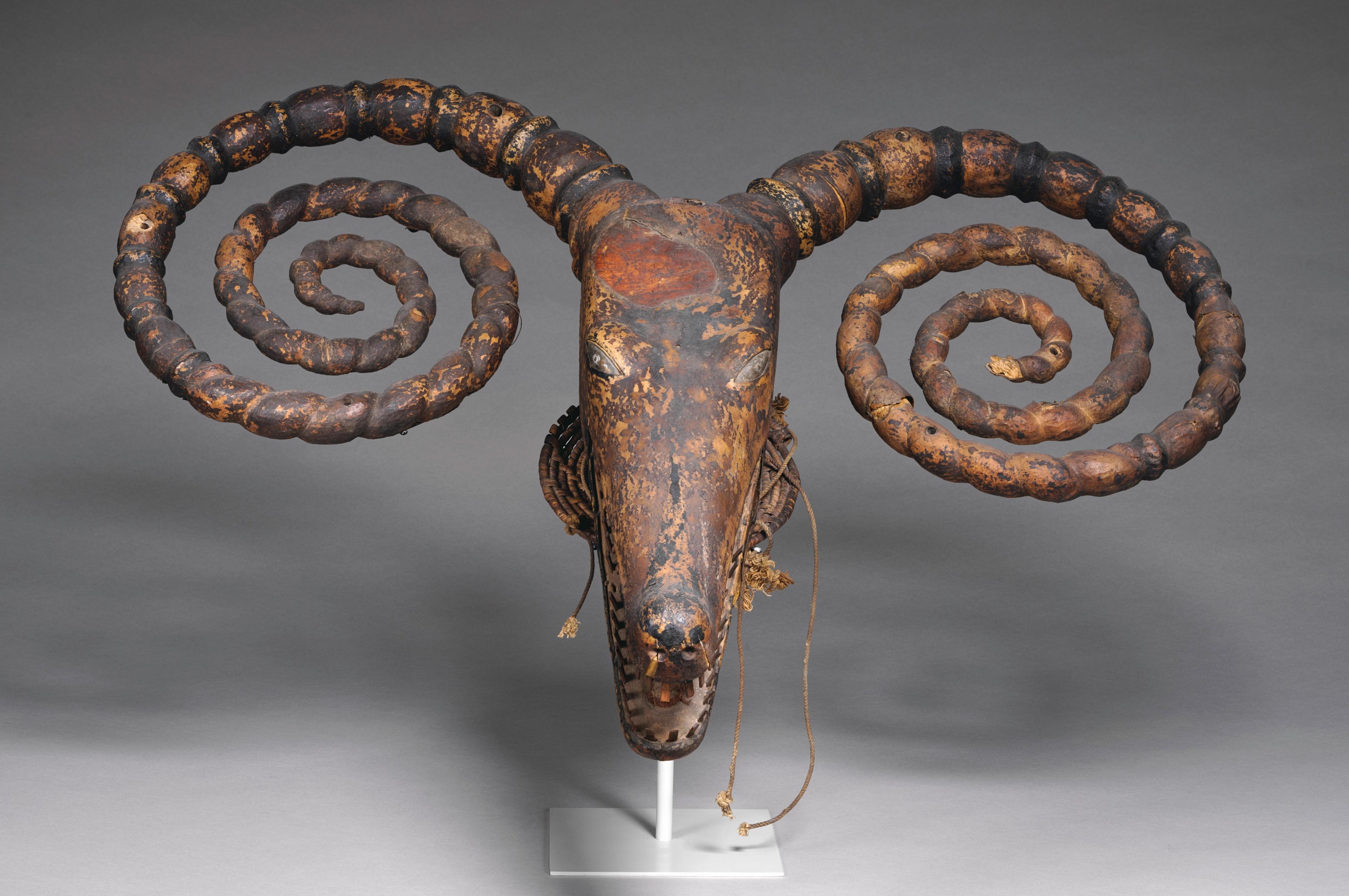 A full frontal view of a dance crest made from untanned animal skin, with a long crocodile-like face and curling horns.