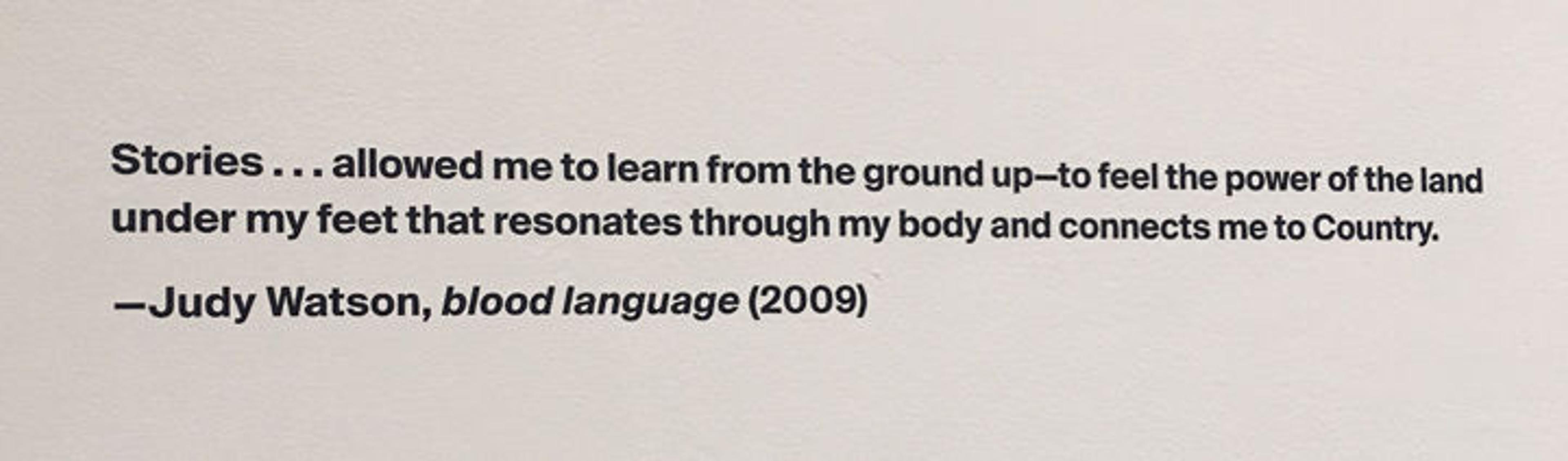 Stories . . . allowed me to learn from the ground up—to feel the power of the land under my feet that resonates through my body and connects me to Country. —Judy Watson, blood language (2009)