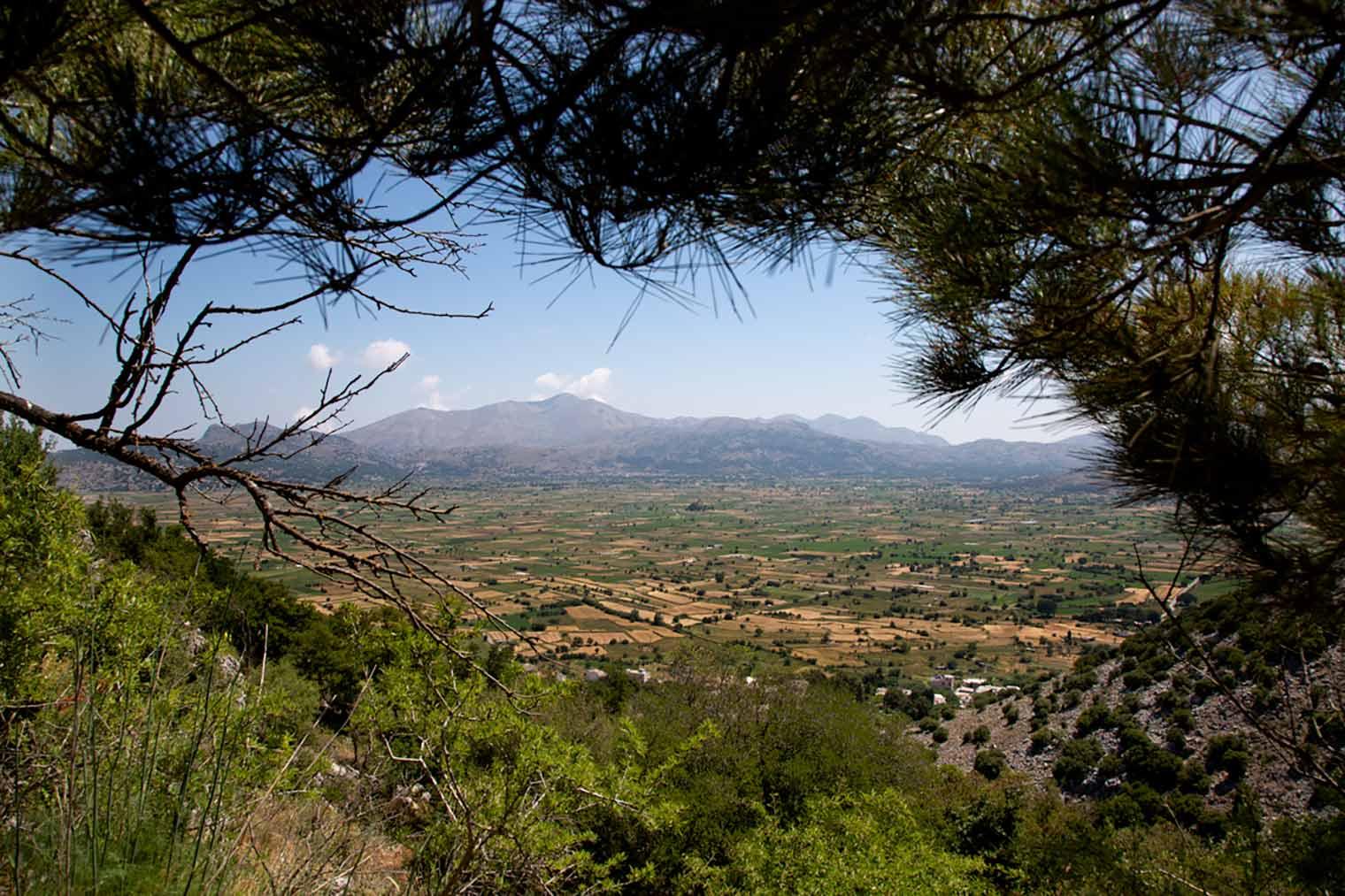 View through an opening in the trees, looking down at a valley with mountains in the distance.