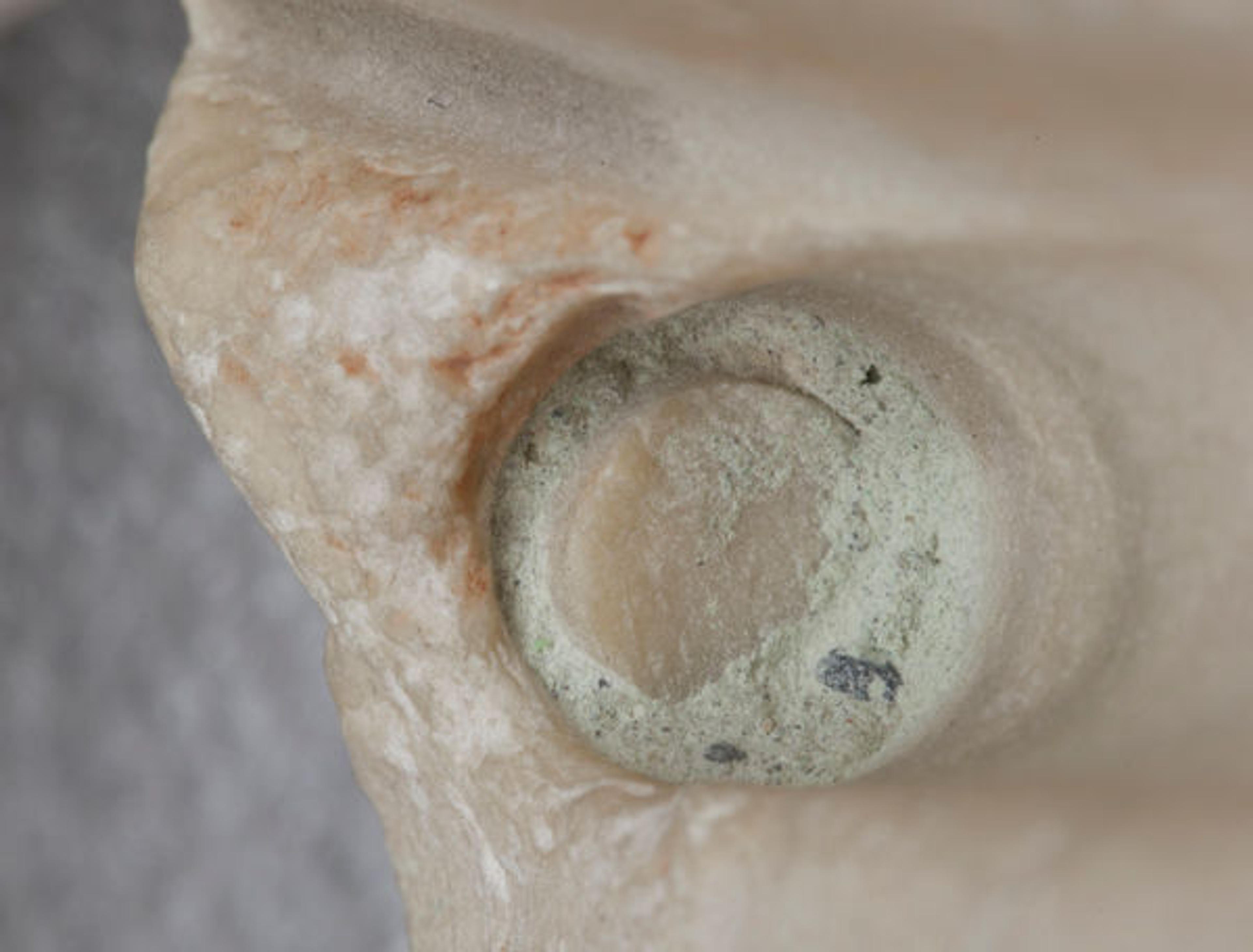 Fig. 3. Close-up photograph of the protruding stump of the broken tubular drill core, surrounded and partly covered by the granular material that provided the sample for analysis.
