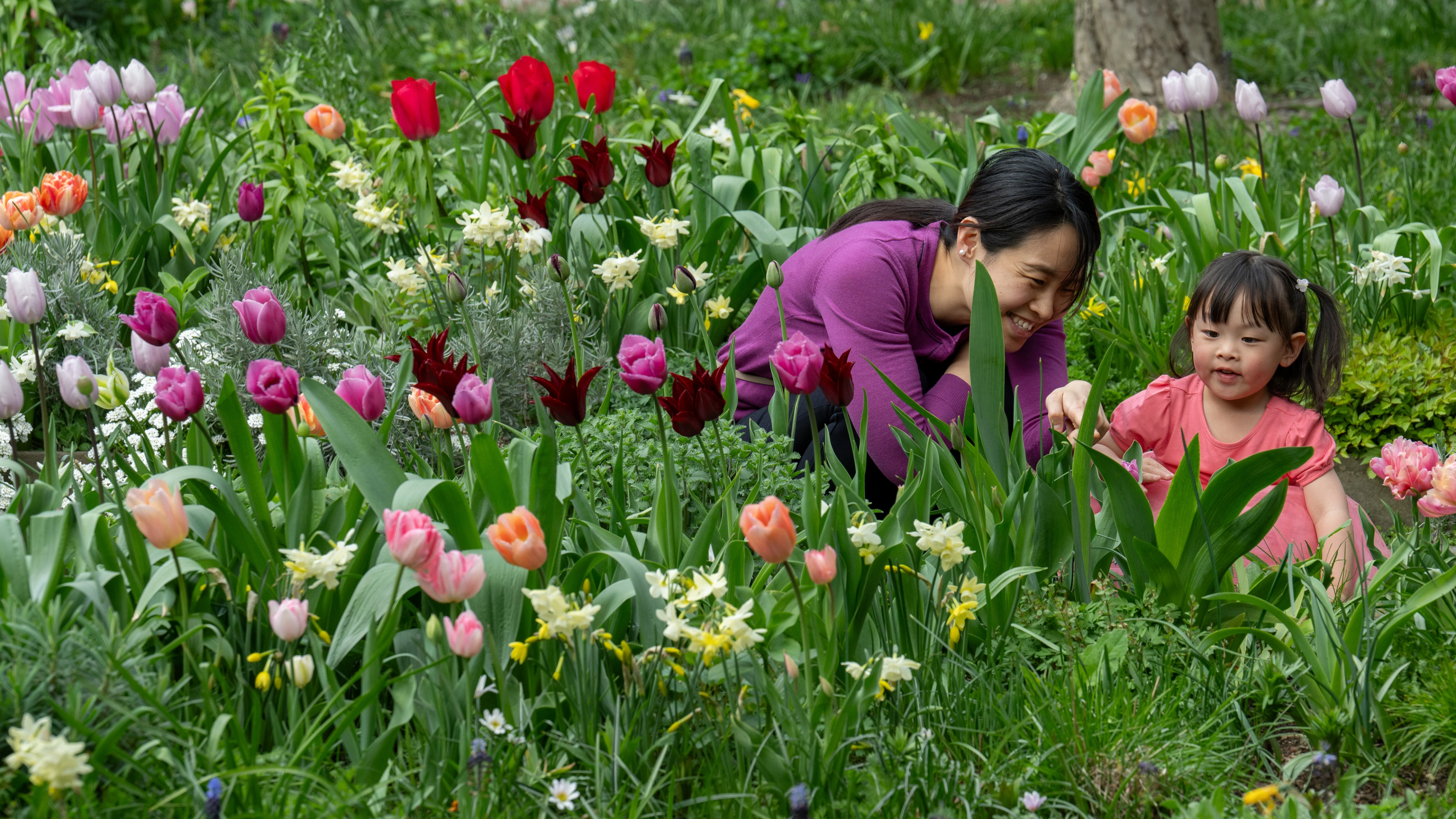 A mom and daughter in the Cloisters gardens. 