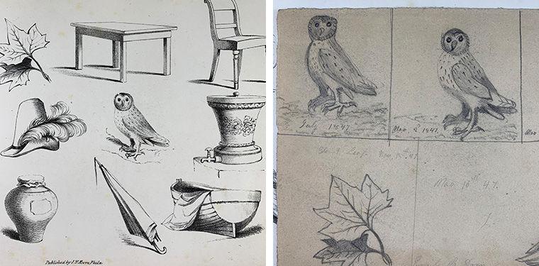 drawings books 3