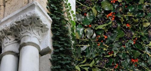 Image for *The Medieval Garden Enclosed*—The Holly and The Ivy