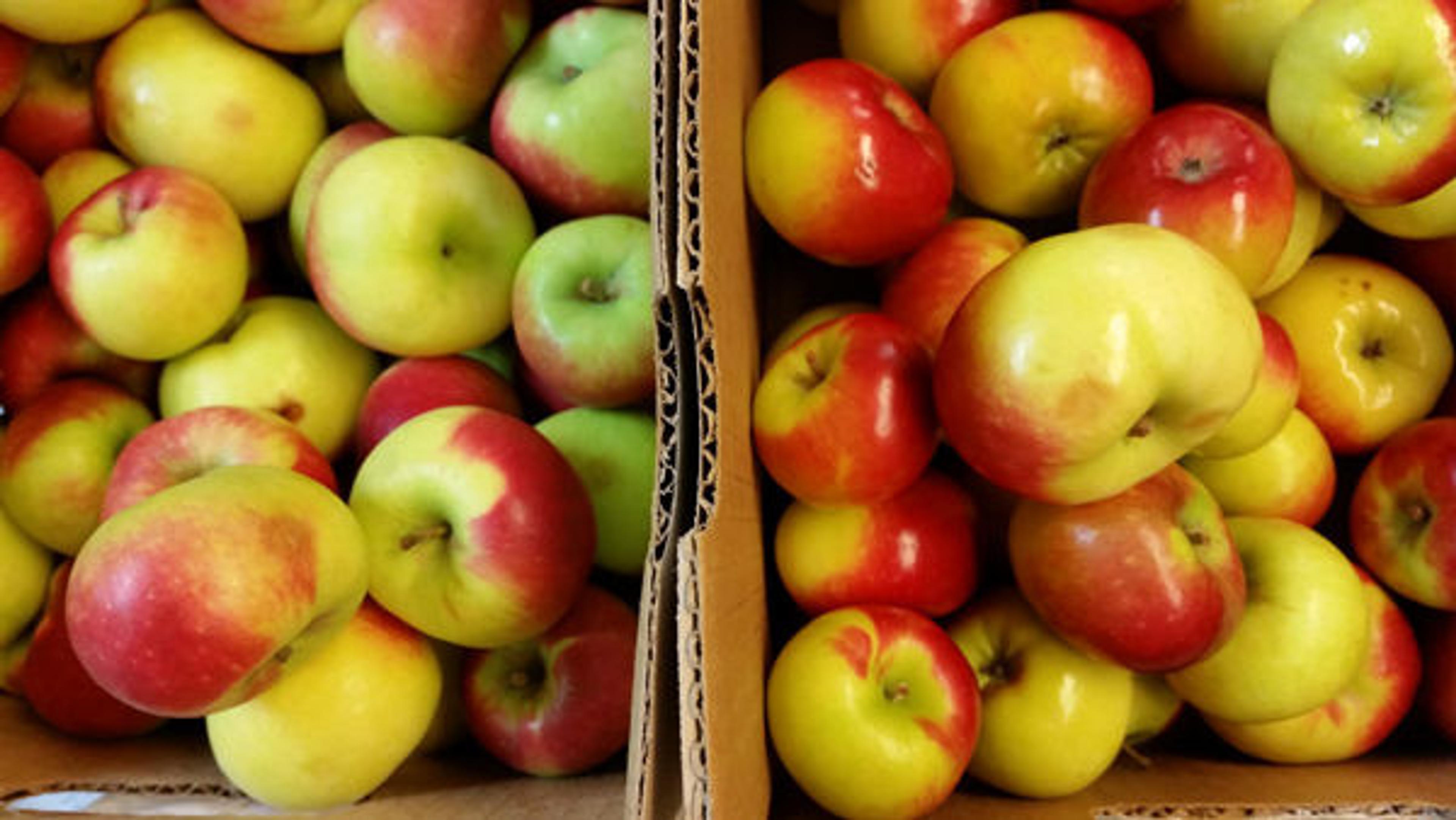 Lady apples