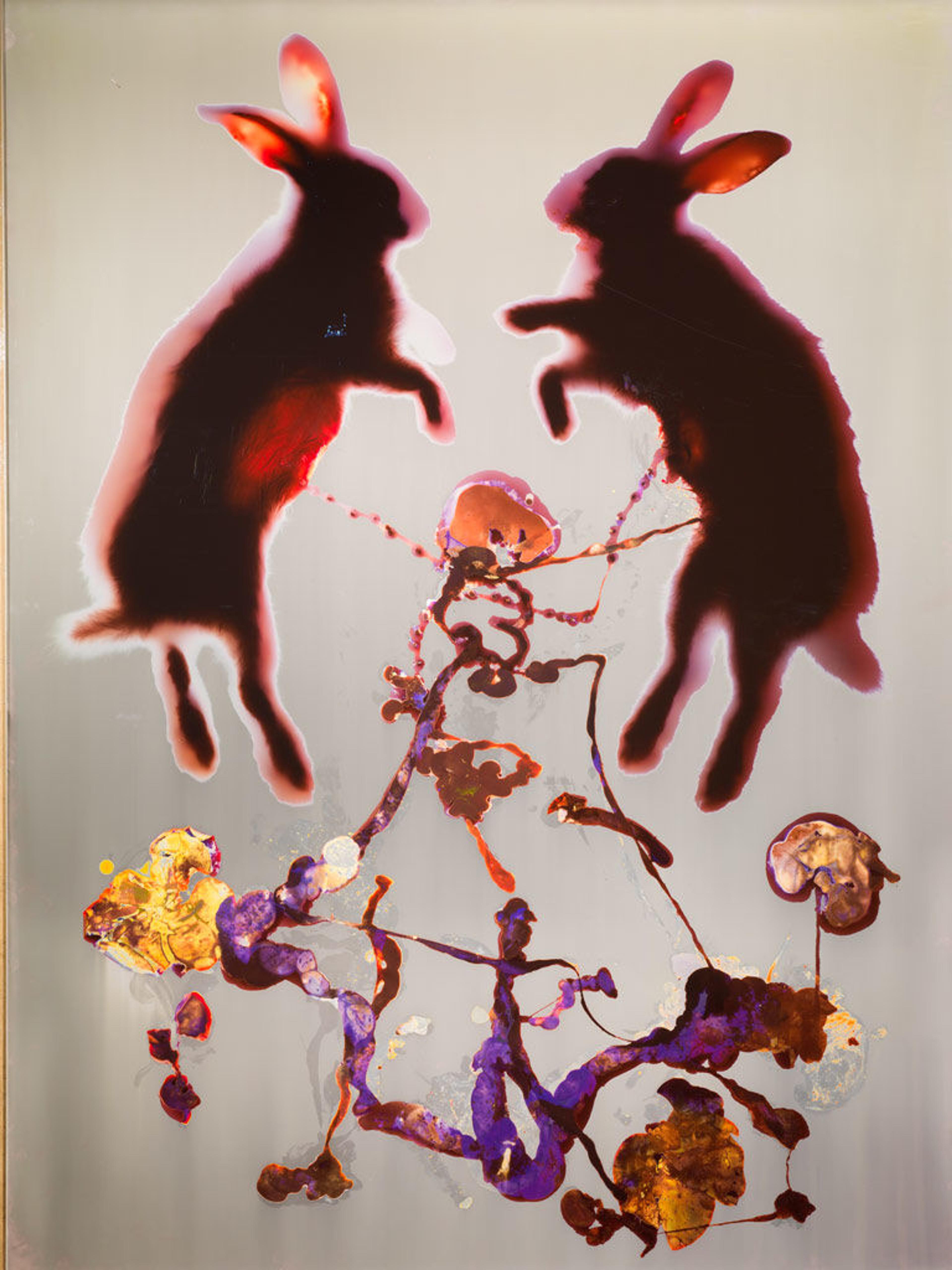 Love by Mia Fineman