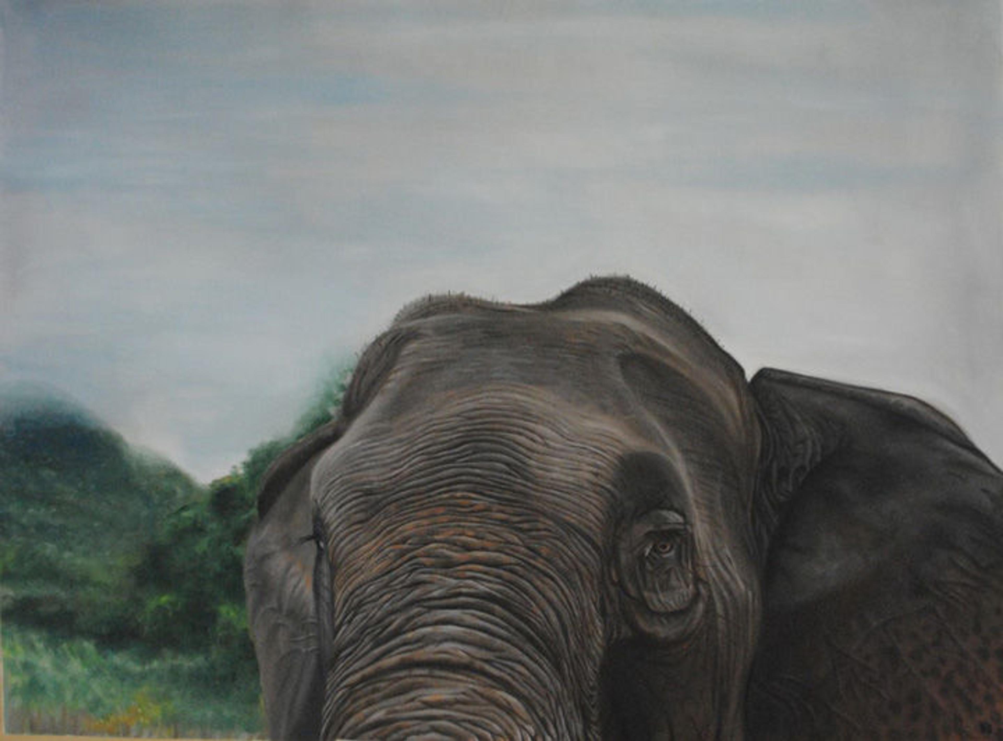 Former High School Intern David K.'s beautiful painting of half an elephant's head with green brush in the background.