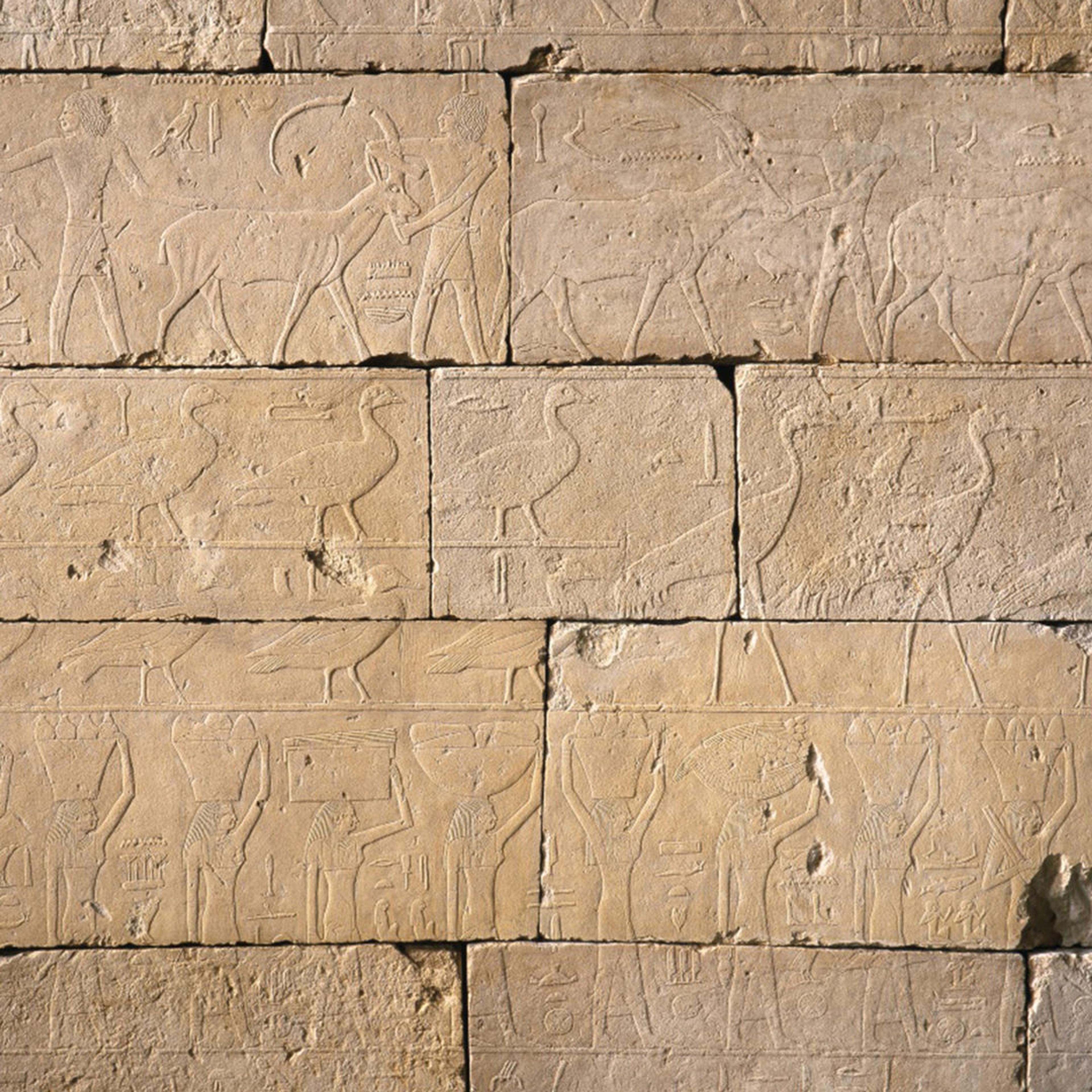 Photo of wall with hieroglyphics.