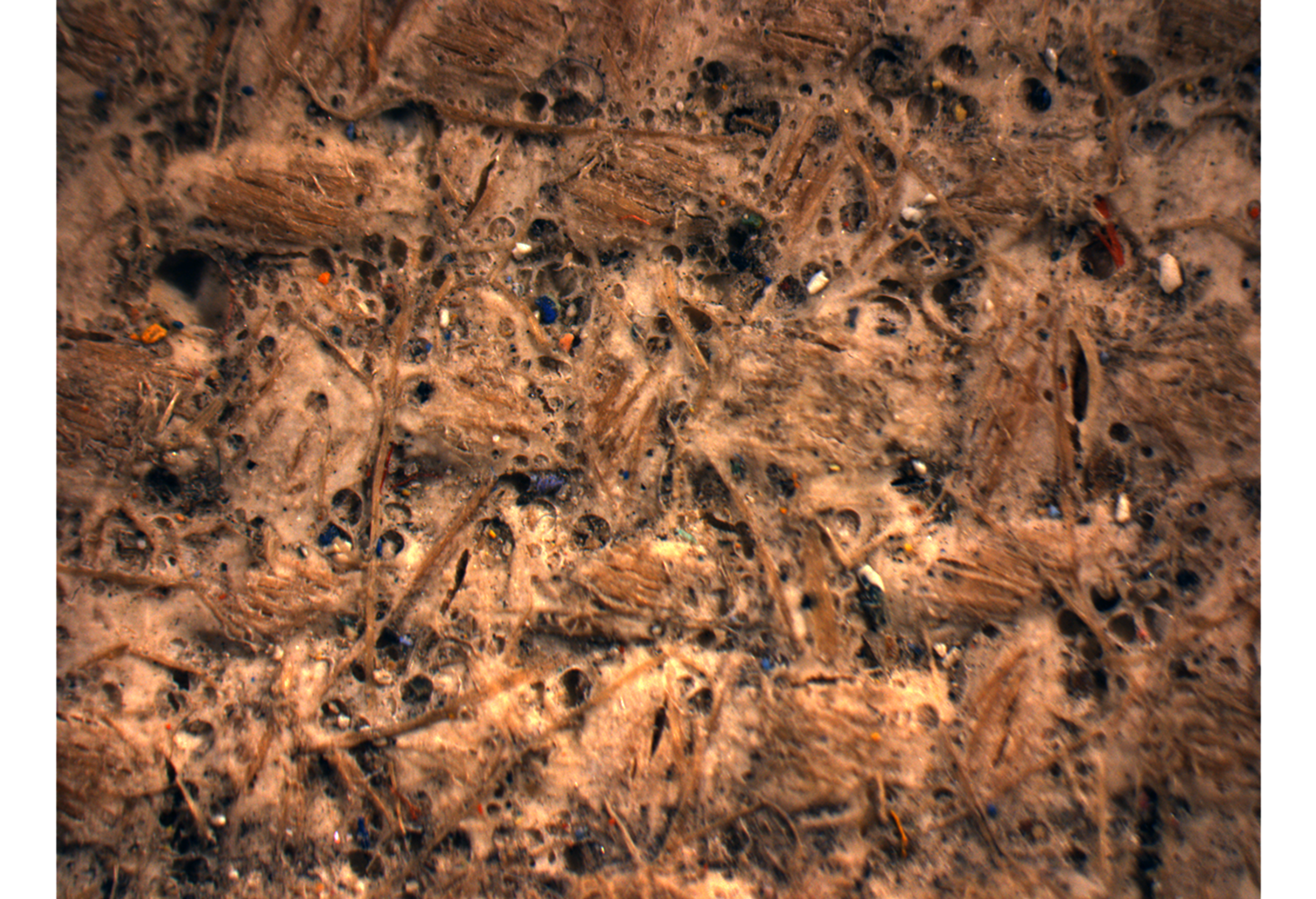 Microphotograph of ground layer of “The Village”, showing porous texture and multicolor paint inclusions