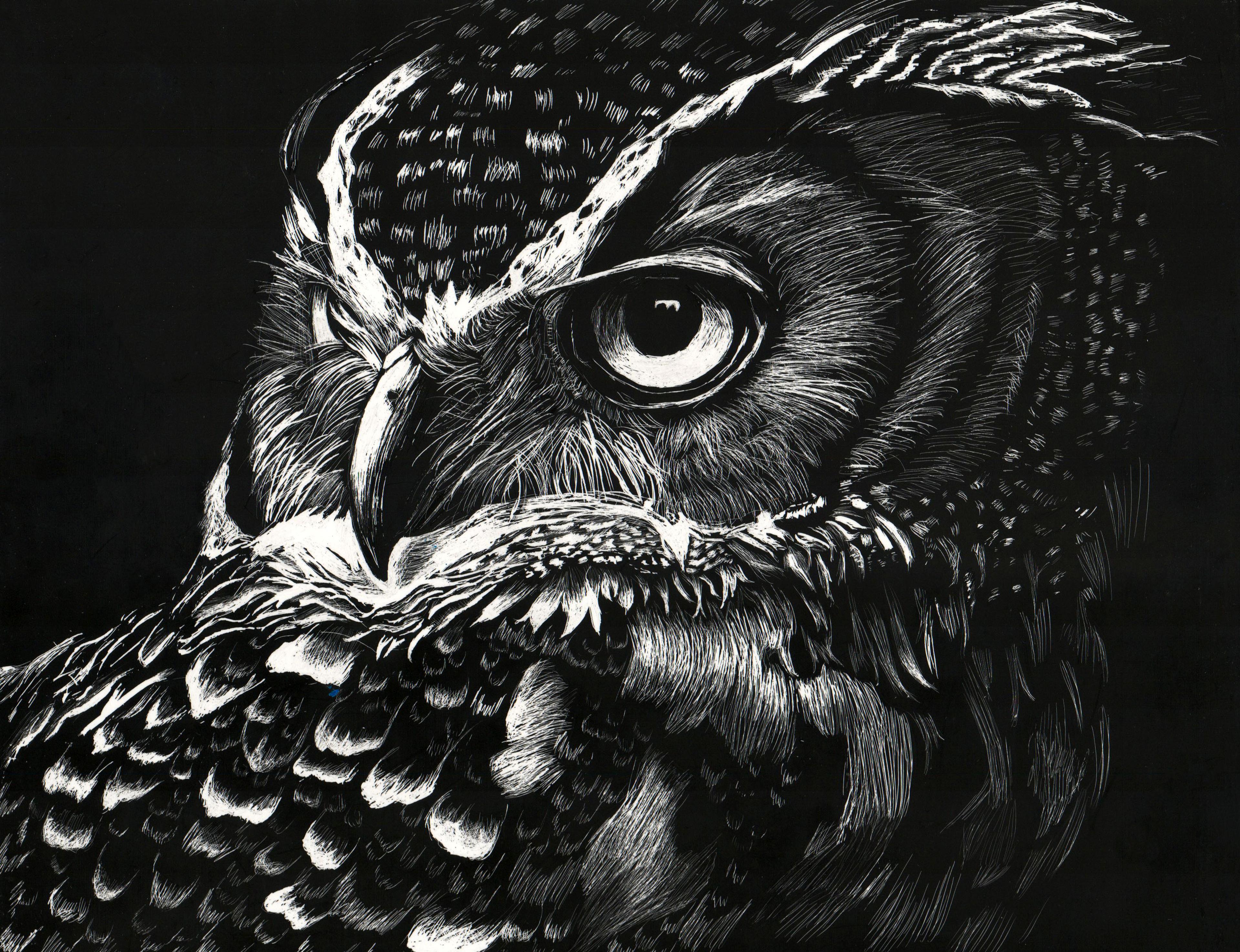 Black-and-white close-up portrait of the face of a dark feathered owl facing left, created on scratchboard. The owl and its many feathers are drawn in dramatic, detailed contrast against a black background. The owl's large, round, left eye is nearly in the center of the composition, with its right eye almost completely out of view.
