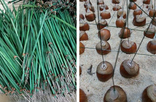 Picks and hazelnuts
