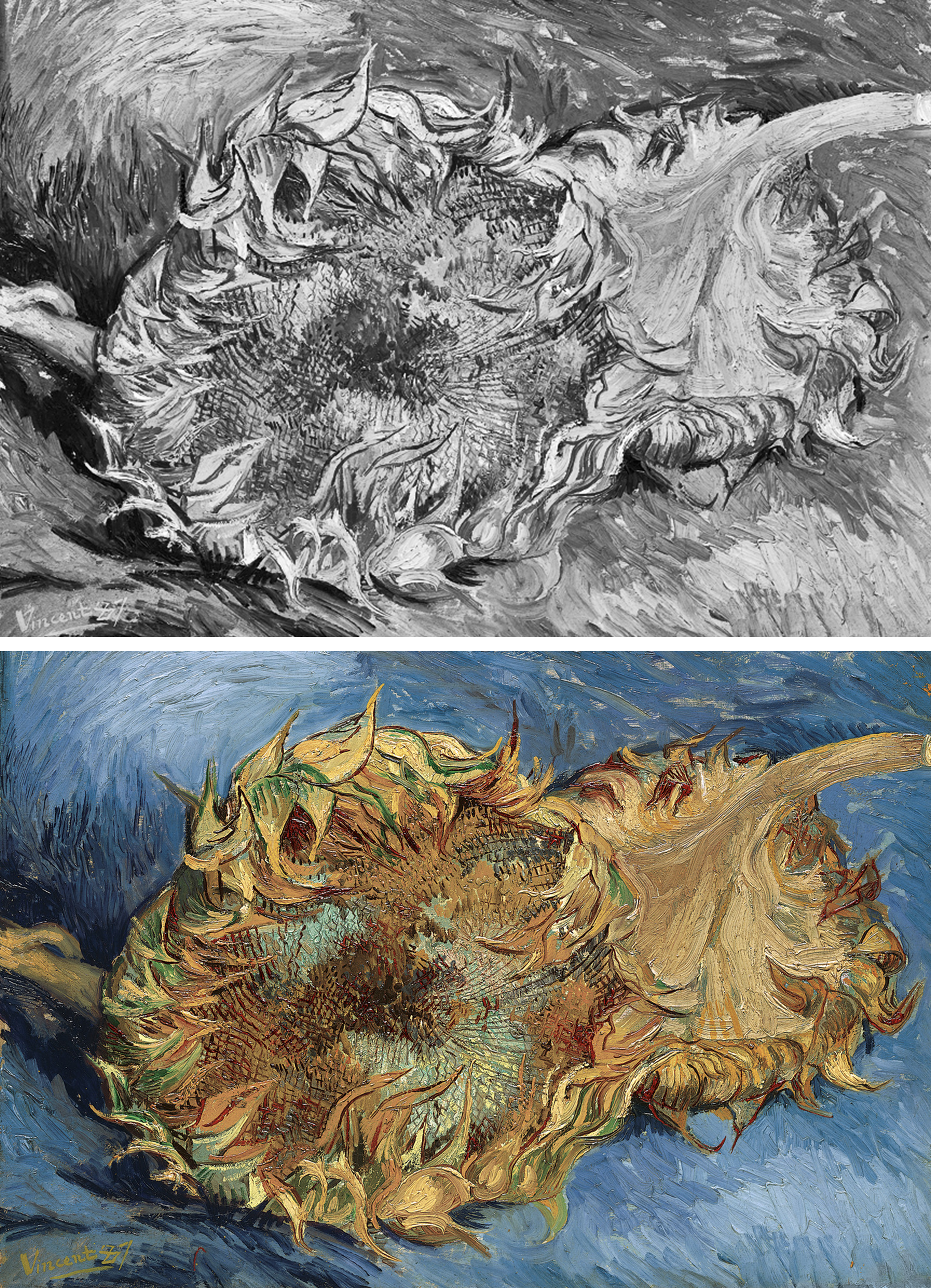 Diptych of van Gogh's Sunflowers.