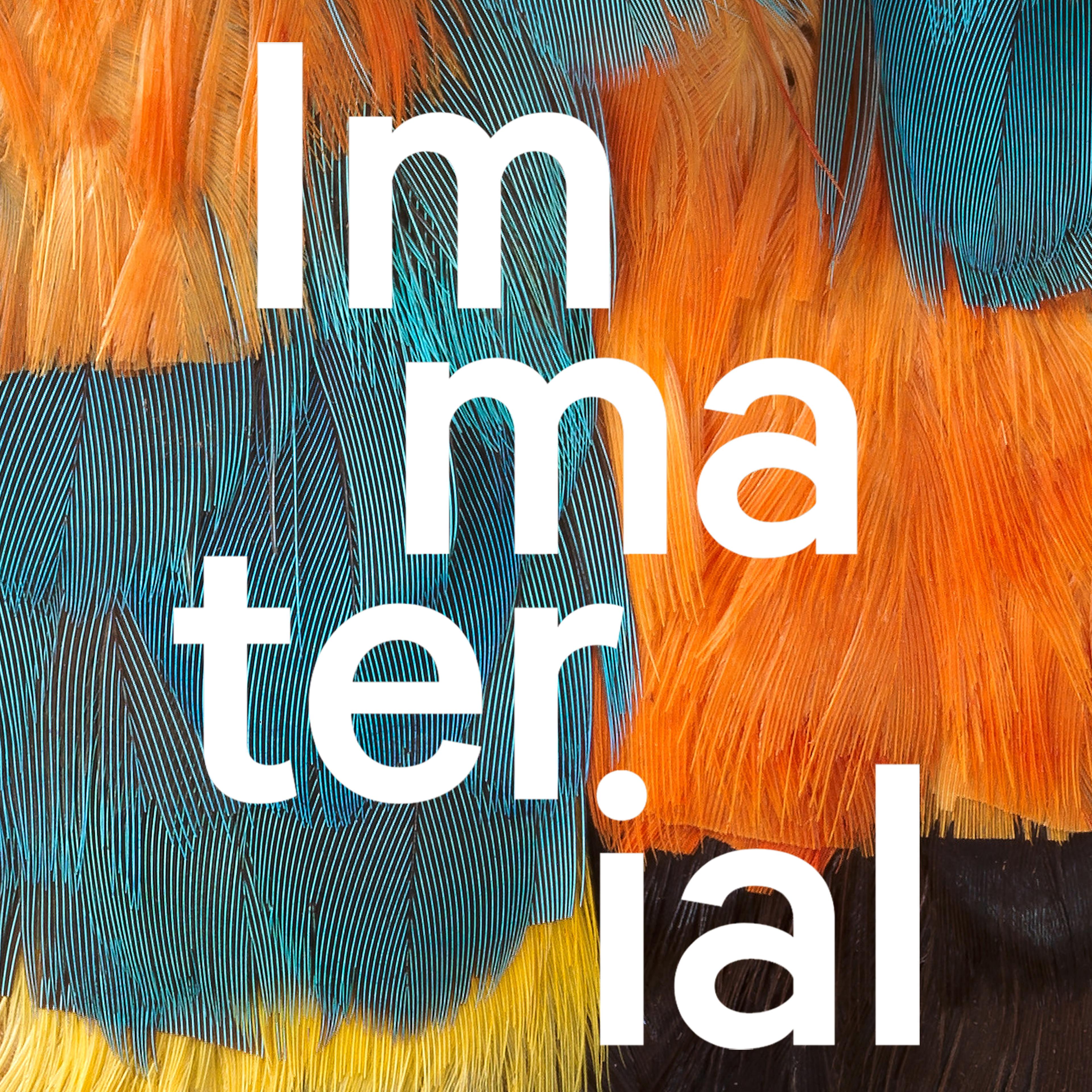 A close-up of vivid bird feathers in shades of orange, teal, yellow, and brown,  with overlaid text that reads 'Immaterial,' with the letters staggered vertically.