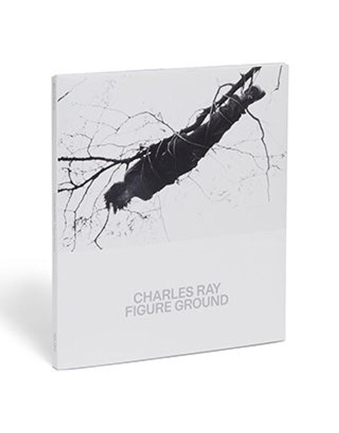 Charles Ray: Figure Ground - The Metropolitan Museum of Art