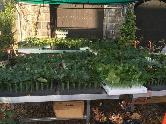 Christmastide decorations at The Met Cloisters