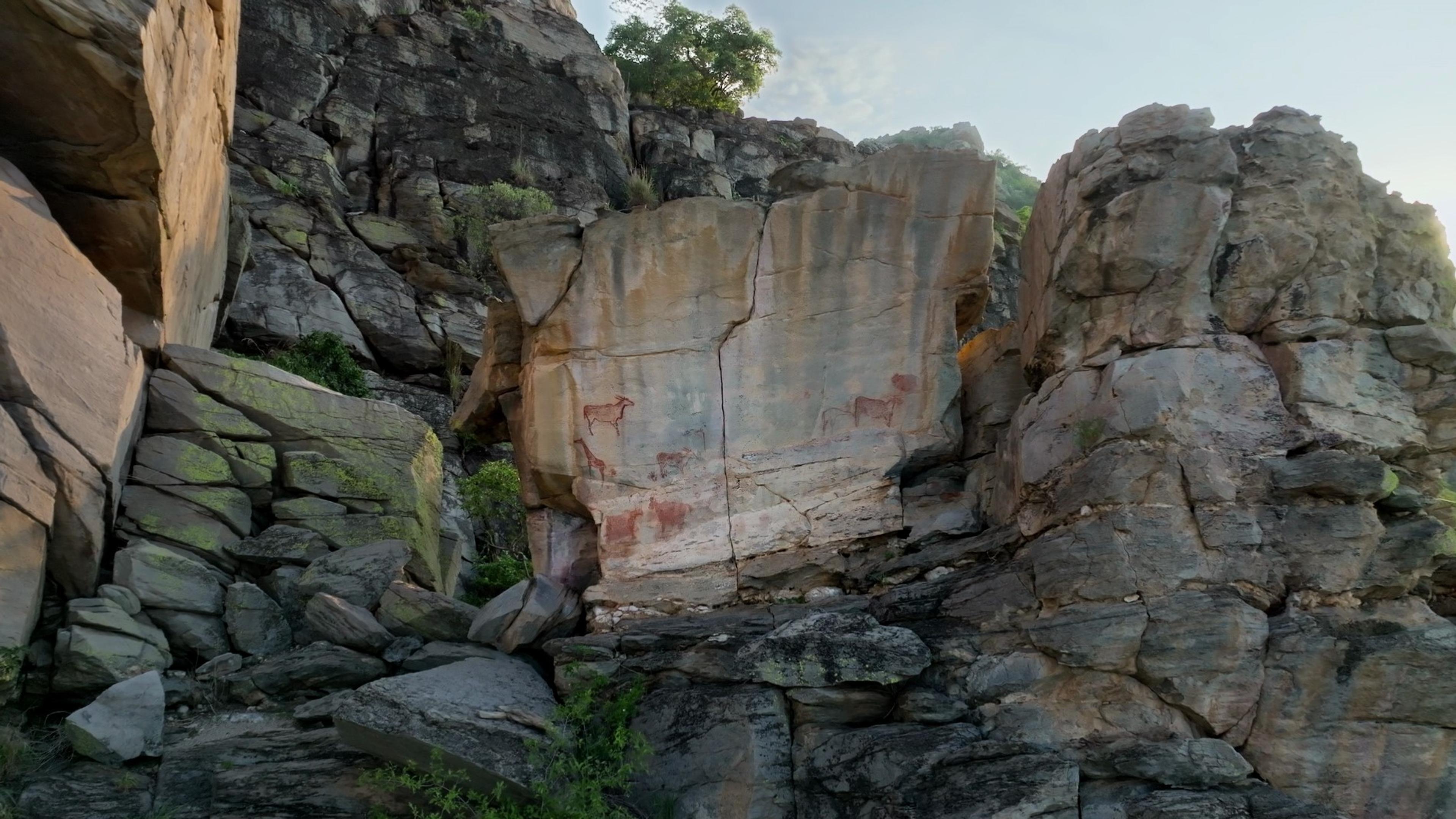 Cliffside of rocks with paintings of bovine