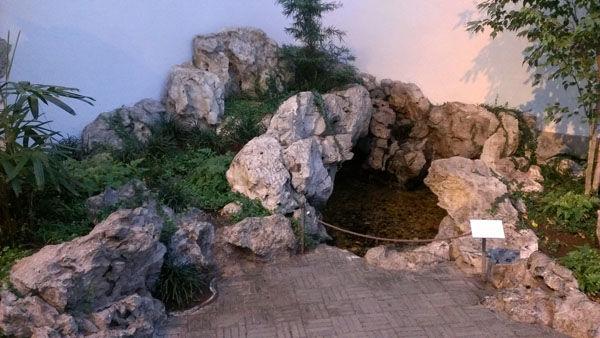 Fountain in the The Astor Chinese Garden Court. Photograph by Kayla L.