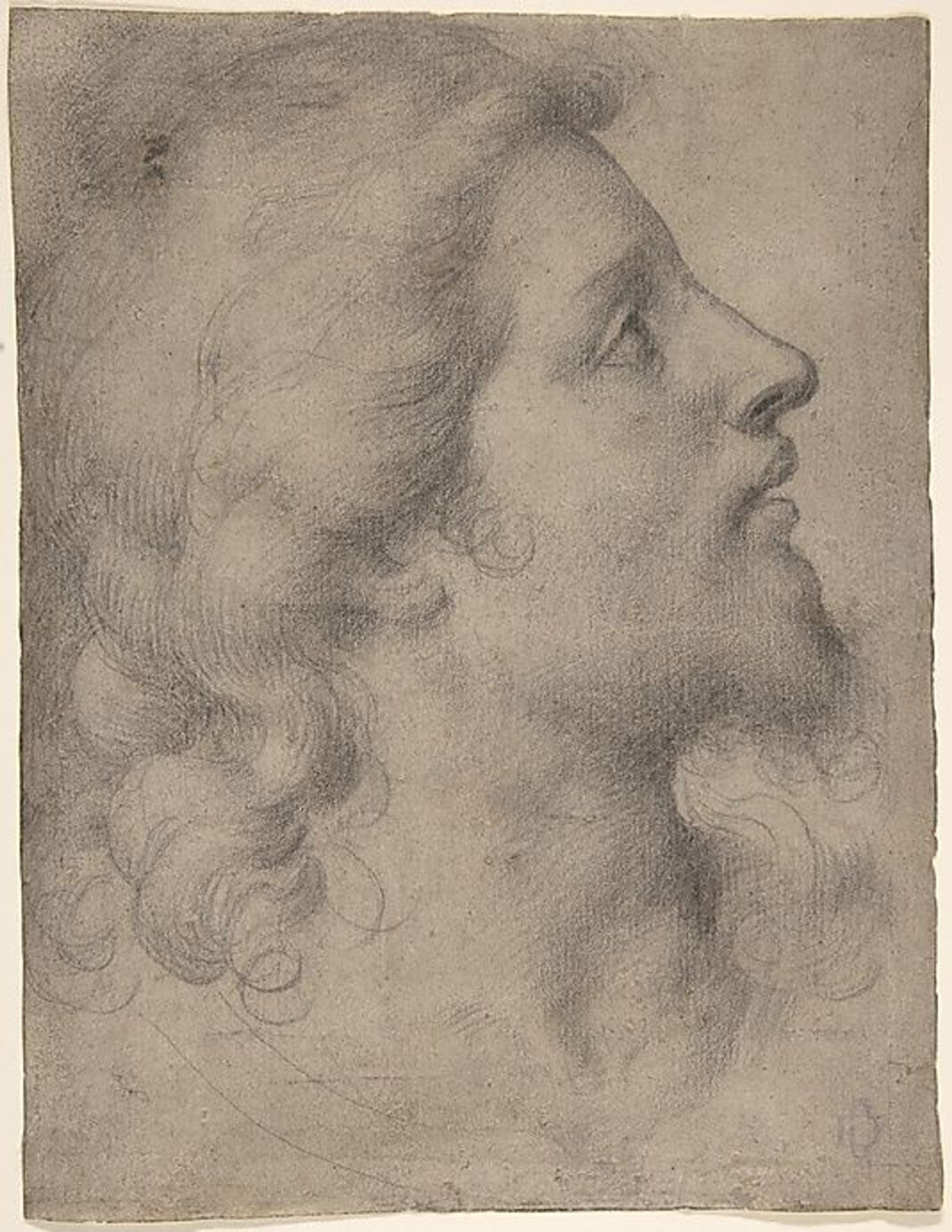 Bronzino Drawings