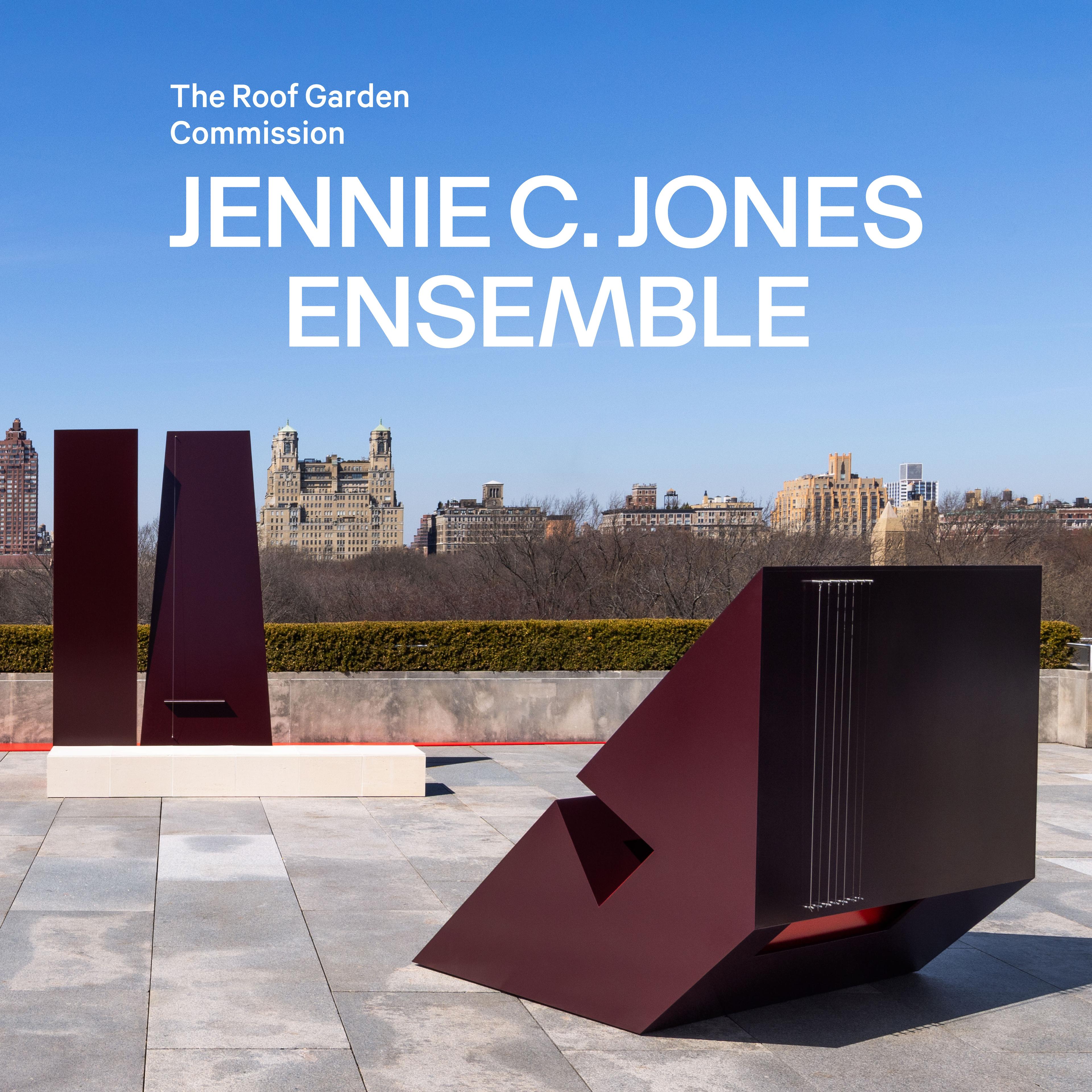 Square Text box with a gray background. White bold text is in the top left corner that read The Roof Garden Commission following by pink text that reads Jennie C Jones