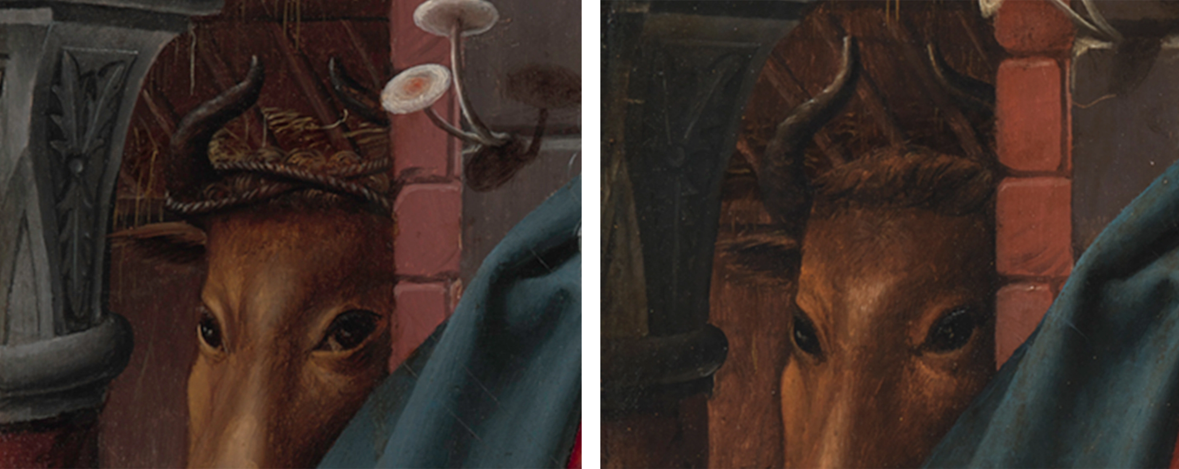 Diptych showing a detail of the ox from The Met's Adoration of the Magi at left, and the Copenhagen panel's ox at right