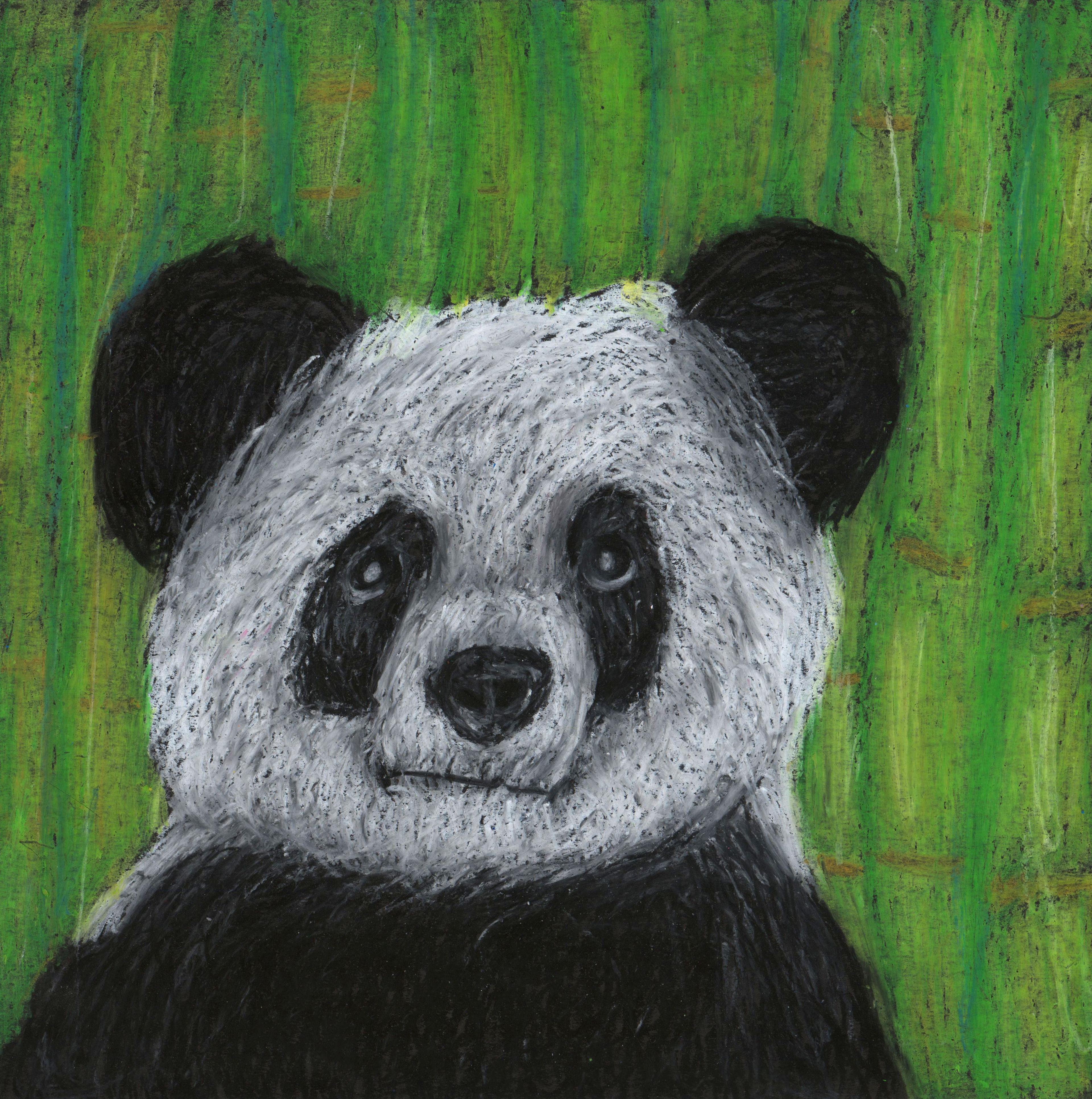 Oil pastel portrait drawing of a black and white panda facing the viewer, shown from the chest up. Tall green bamboo stalks rise up behind the bear in the background.
