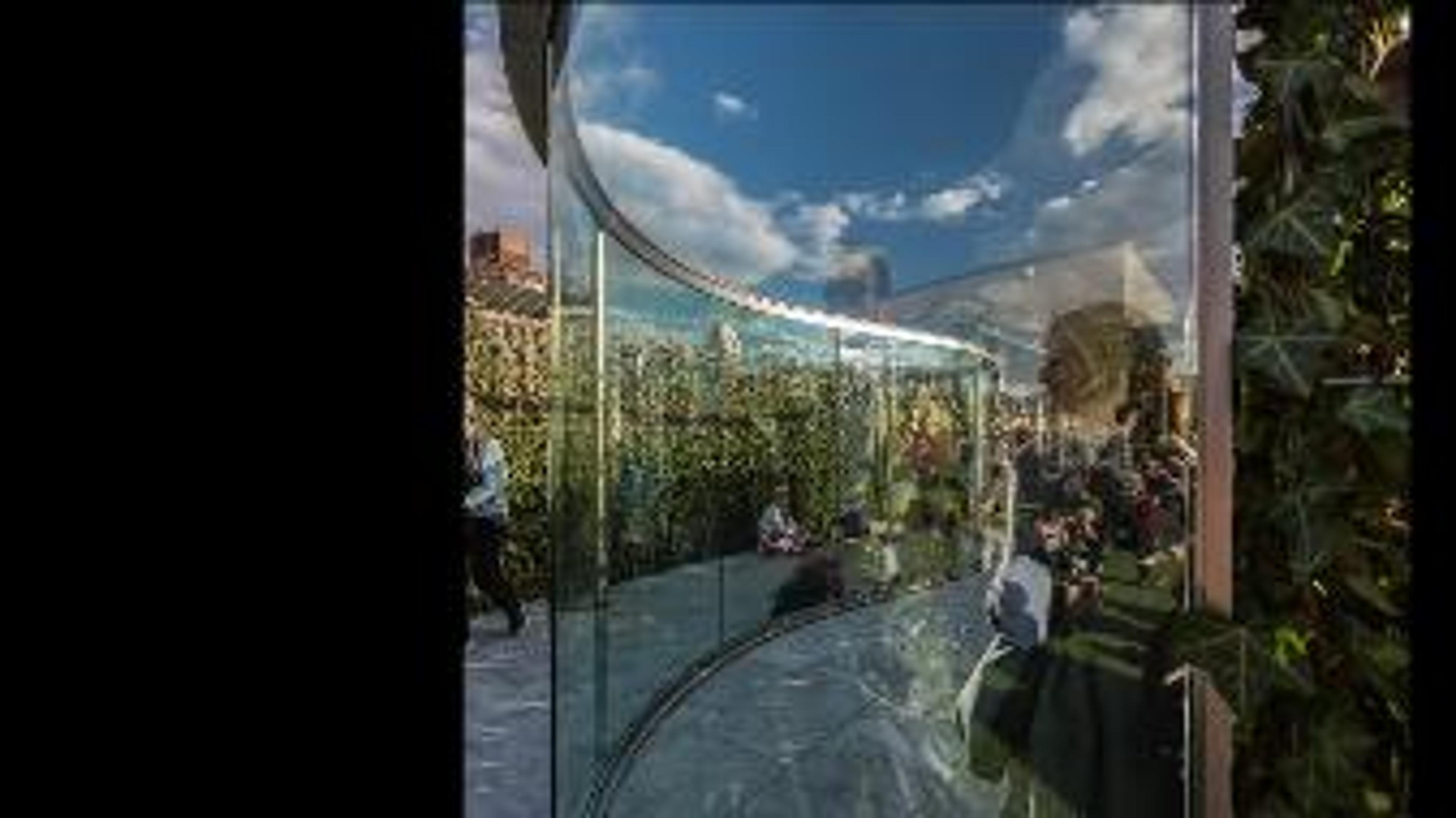 Image of Dan Graham's Roof Garden installation showing a curved glass reflecting the hedges, sky, and people around it
