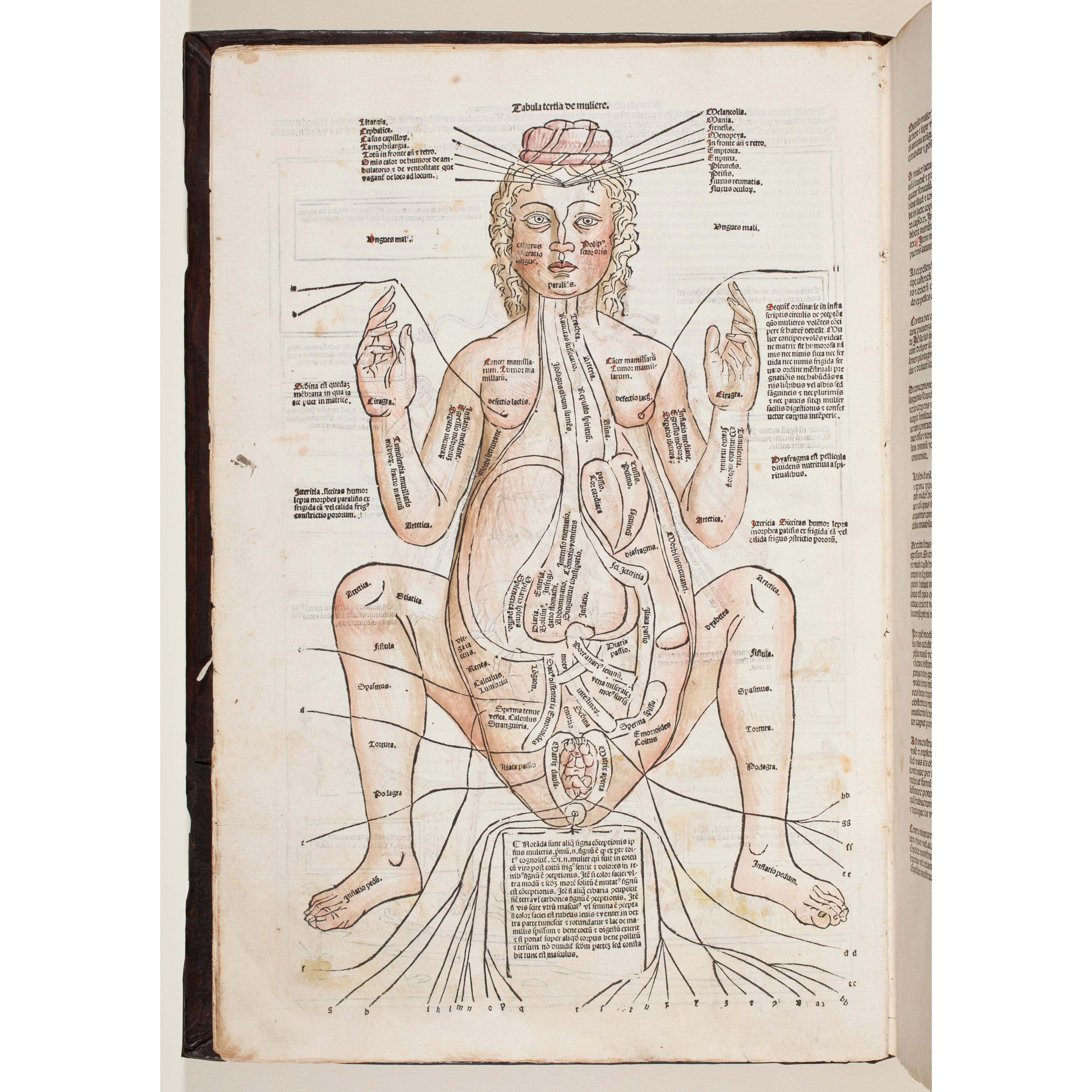 A Renaissance-era anatomical sketch of a pregnant woman with notes and markings