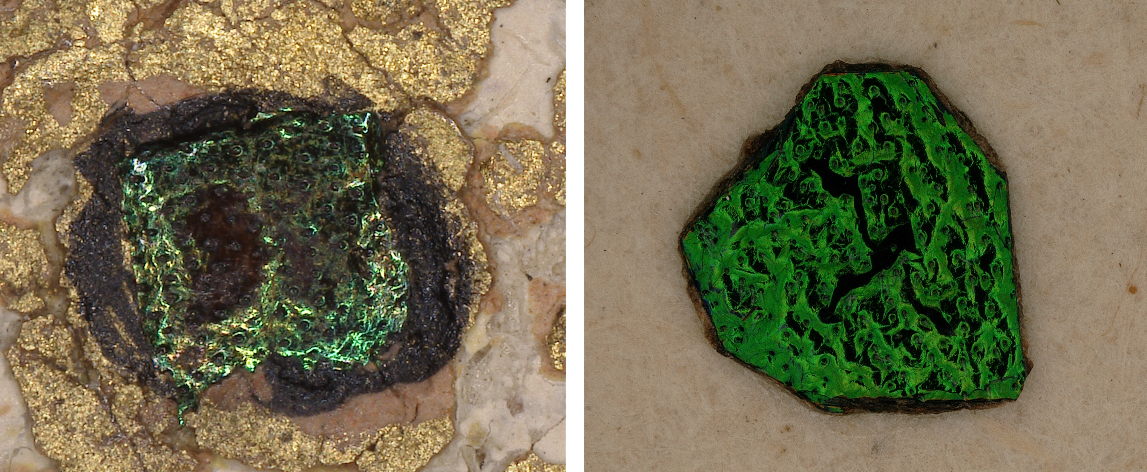 Diptych showing a green beetle-wing detail from Kalki at left, and a green beetle-wing mockup for testing at right. Both contain dark spots.