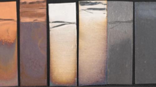 Image for Collections Care for Organic Objects