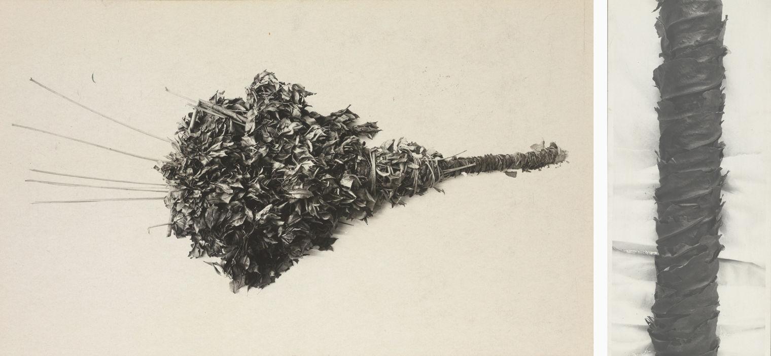 Two images: One bundle of plant material wrapped at the stems in a bouquet, and a detail image of the stems tightly wrapped with a thin material.