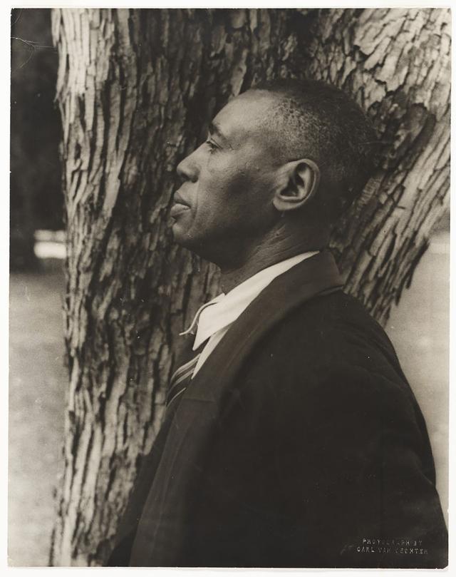 Profile portrait of the African American Artist Horace Pippin Photographed by Carl Van Vechten. The image shows a sepia tinted photograph of a black man in profile with a shaved head looking outwards. He is wearing a suit and tie, and behind him is a tree trunk with textured bark.