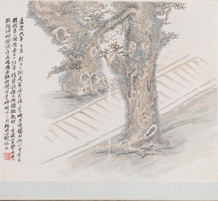 Leaf from an album of paintings, depicting two gingko trees
