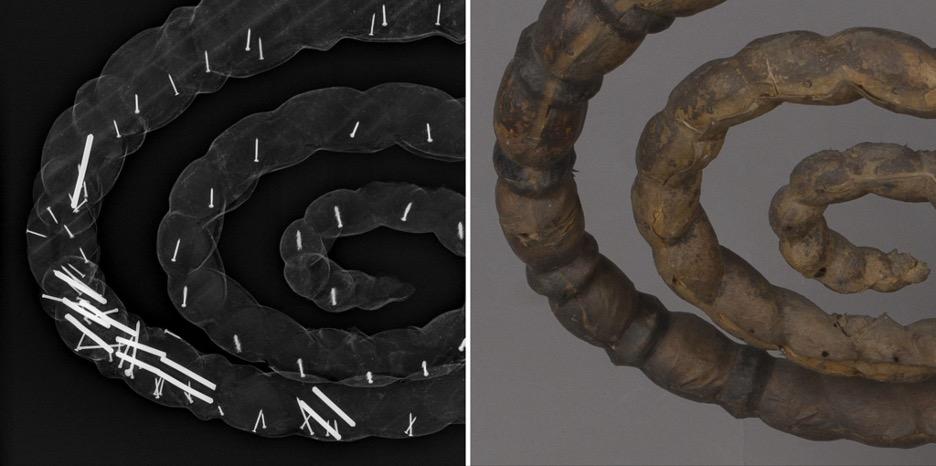 Left: Detail of an X-radiographic image of Nimm crest at the left coil, displaying the metal bars hidden inside the wood for support. Right: Detail of the same area on the backside of the coil, showing the seam in the animal skin and a number of the losses from previous nail holes.