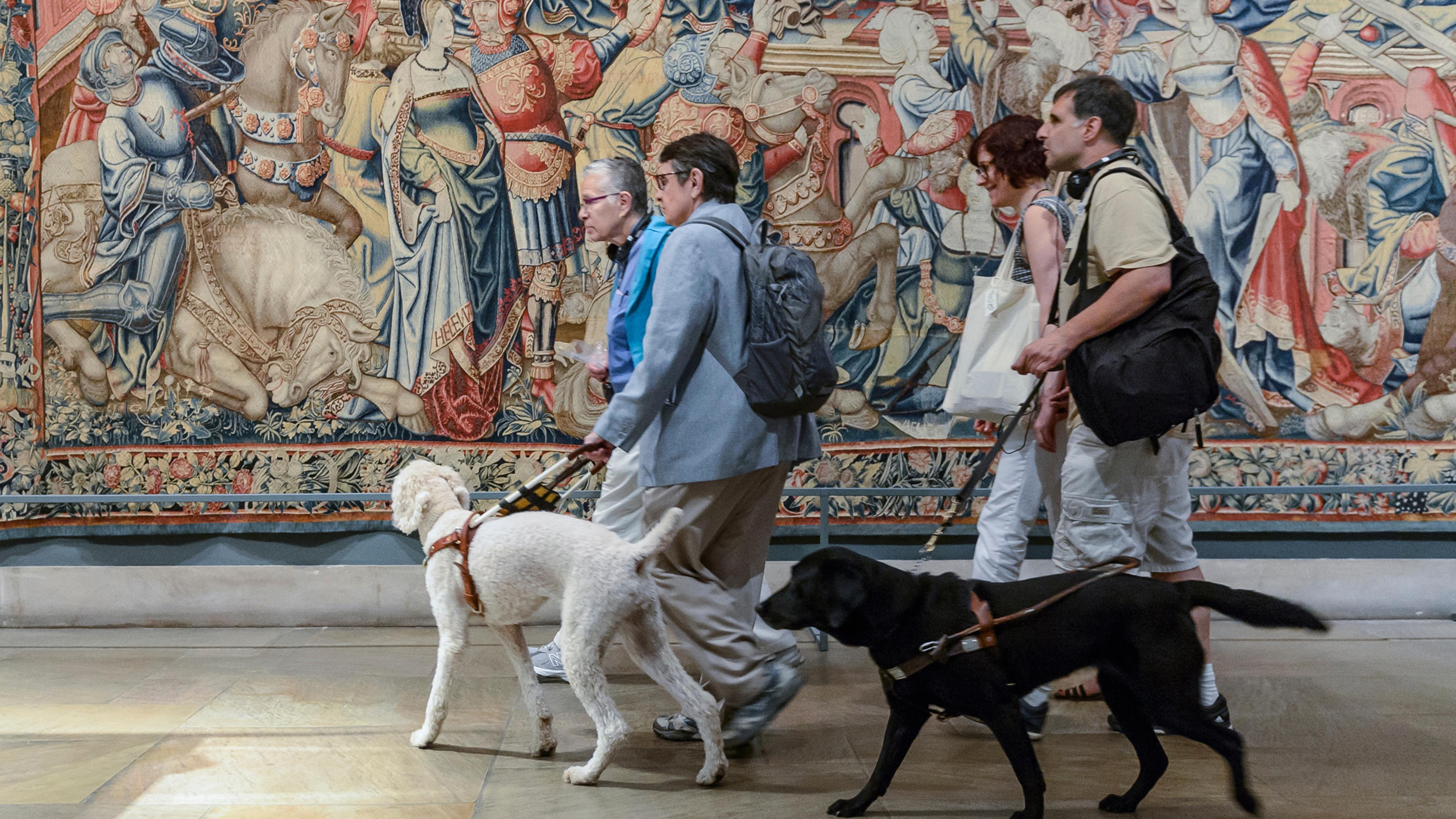 Group of visitors with disabilities walking with guide dogs in front of a large tapestry.