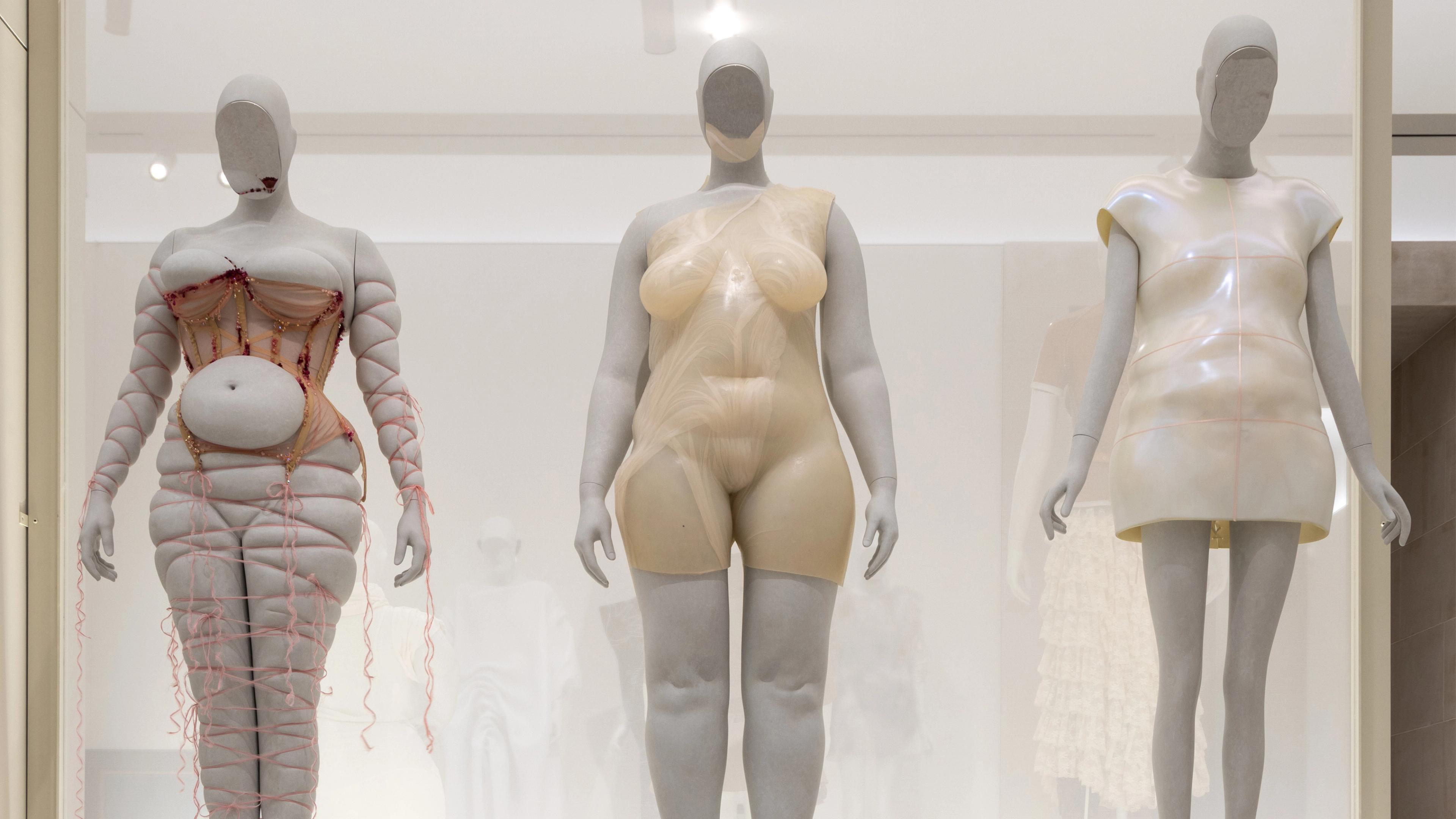 Museum display with three mannequins: an anatomical body with organs and veins, a nude figure, and a dress form