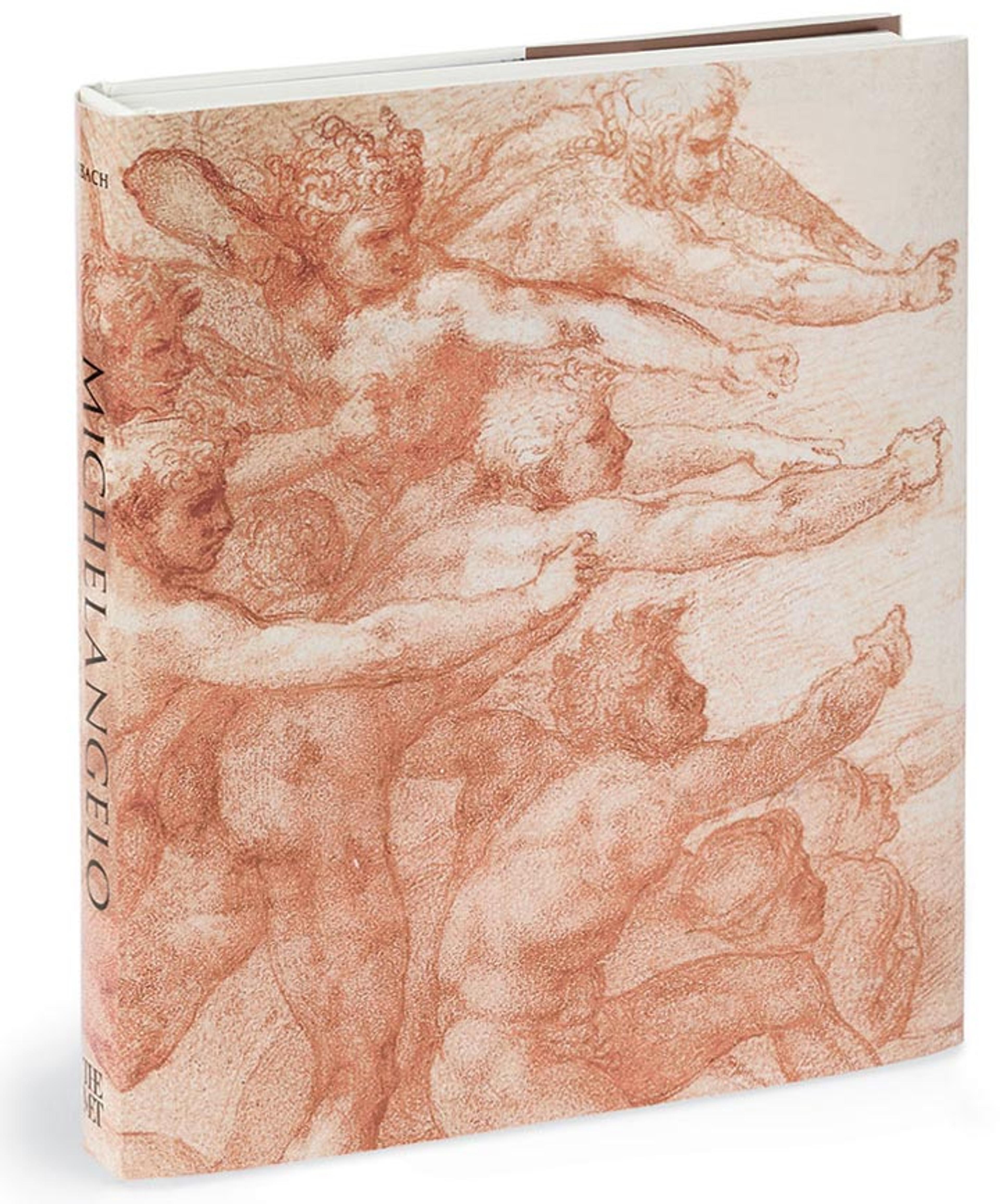 Cover of the book "Michelangelo: Divine Draftsman and Designer"