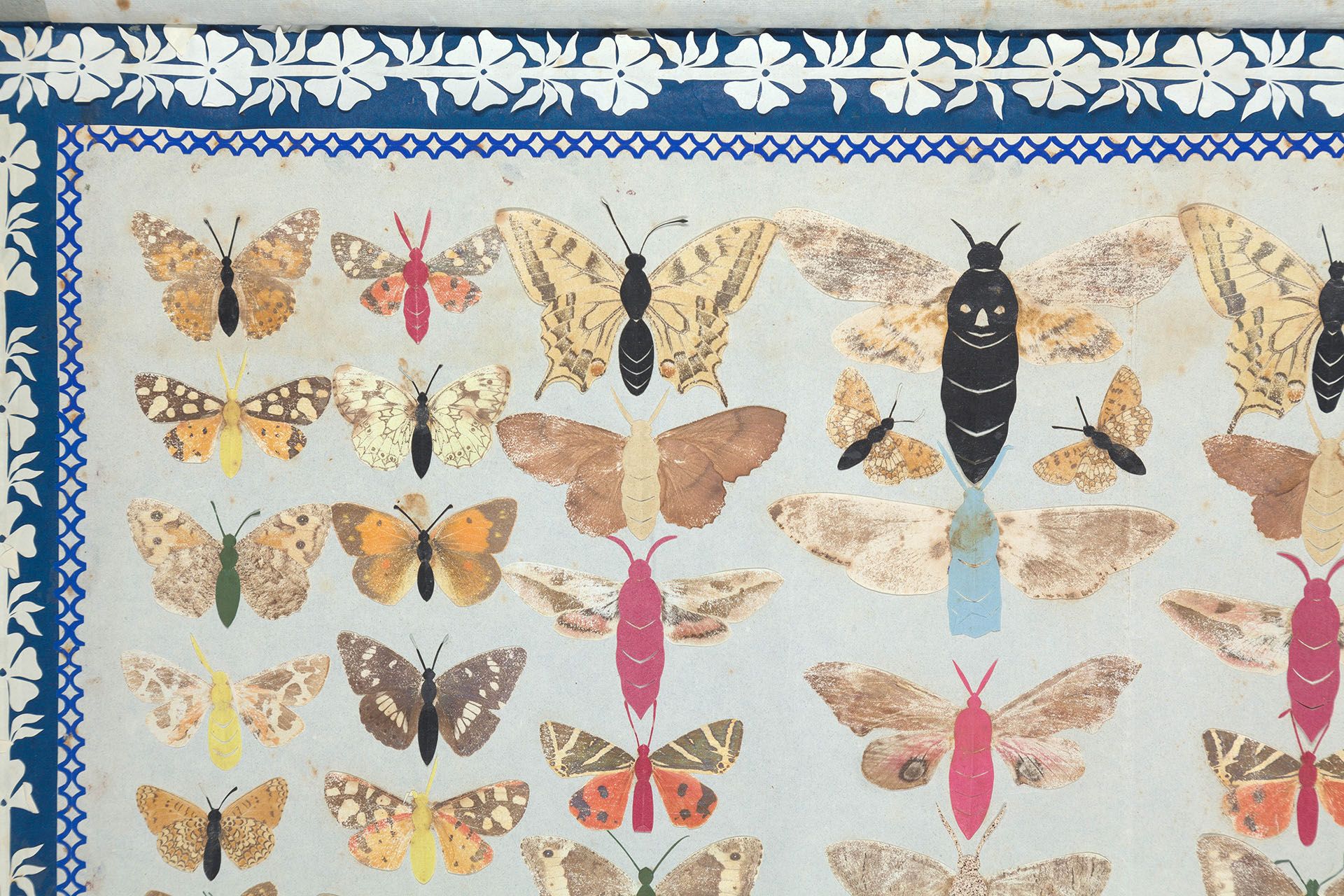 Detail of several butterflies