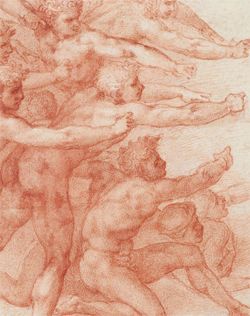 Image for Michelangelo: Divine Draftsman and Designer